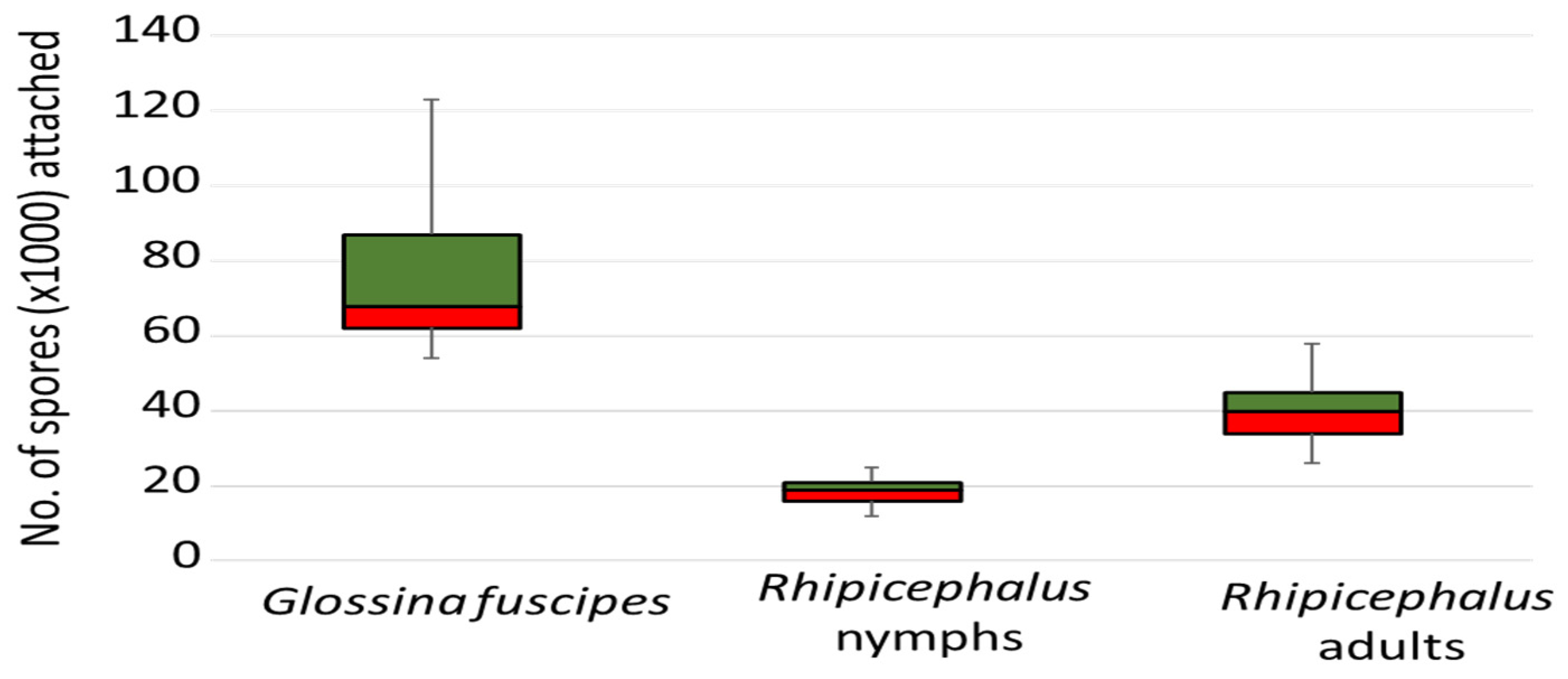 Insects 15 00449 g007