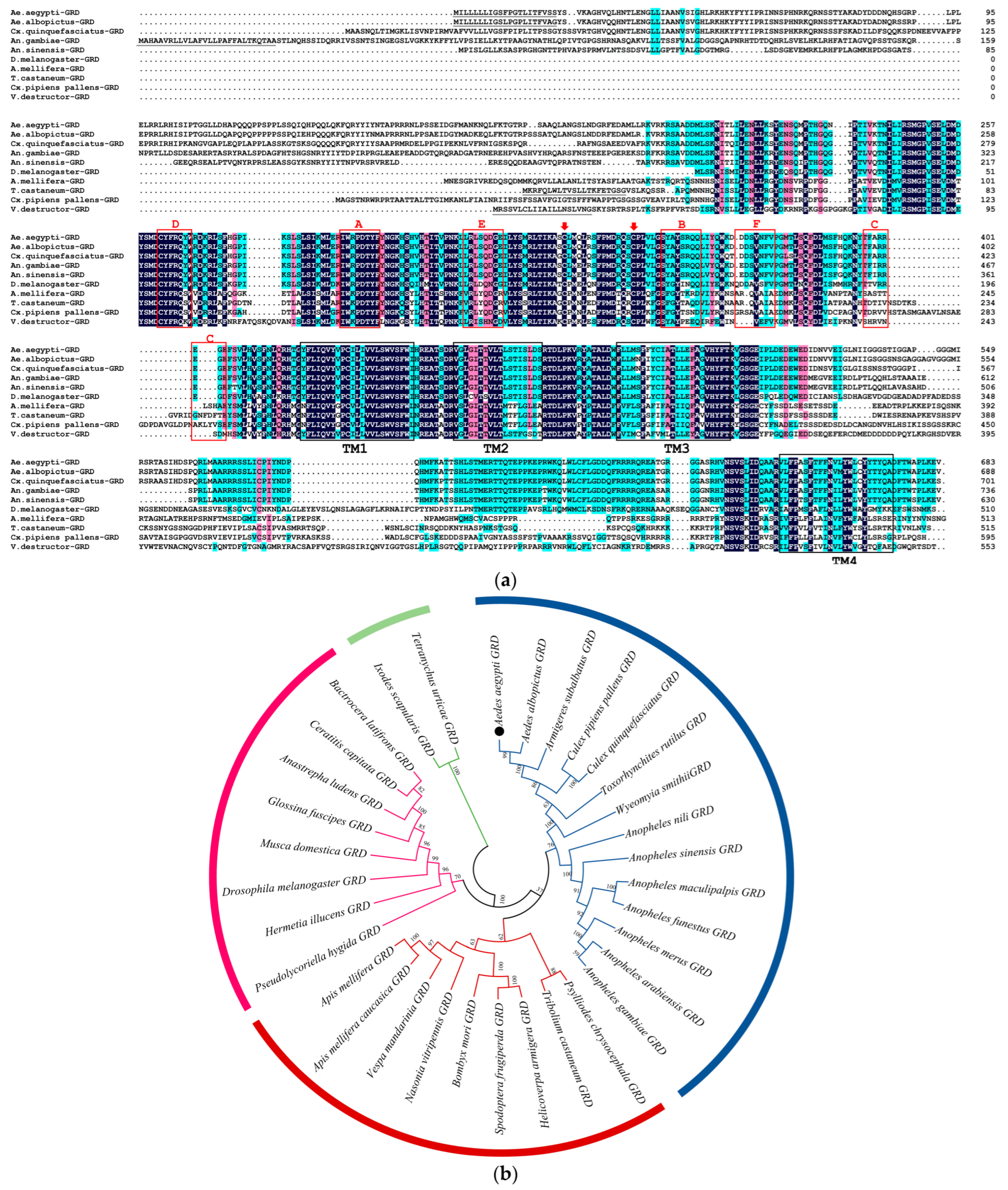 Insects 15 00453 g002