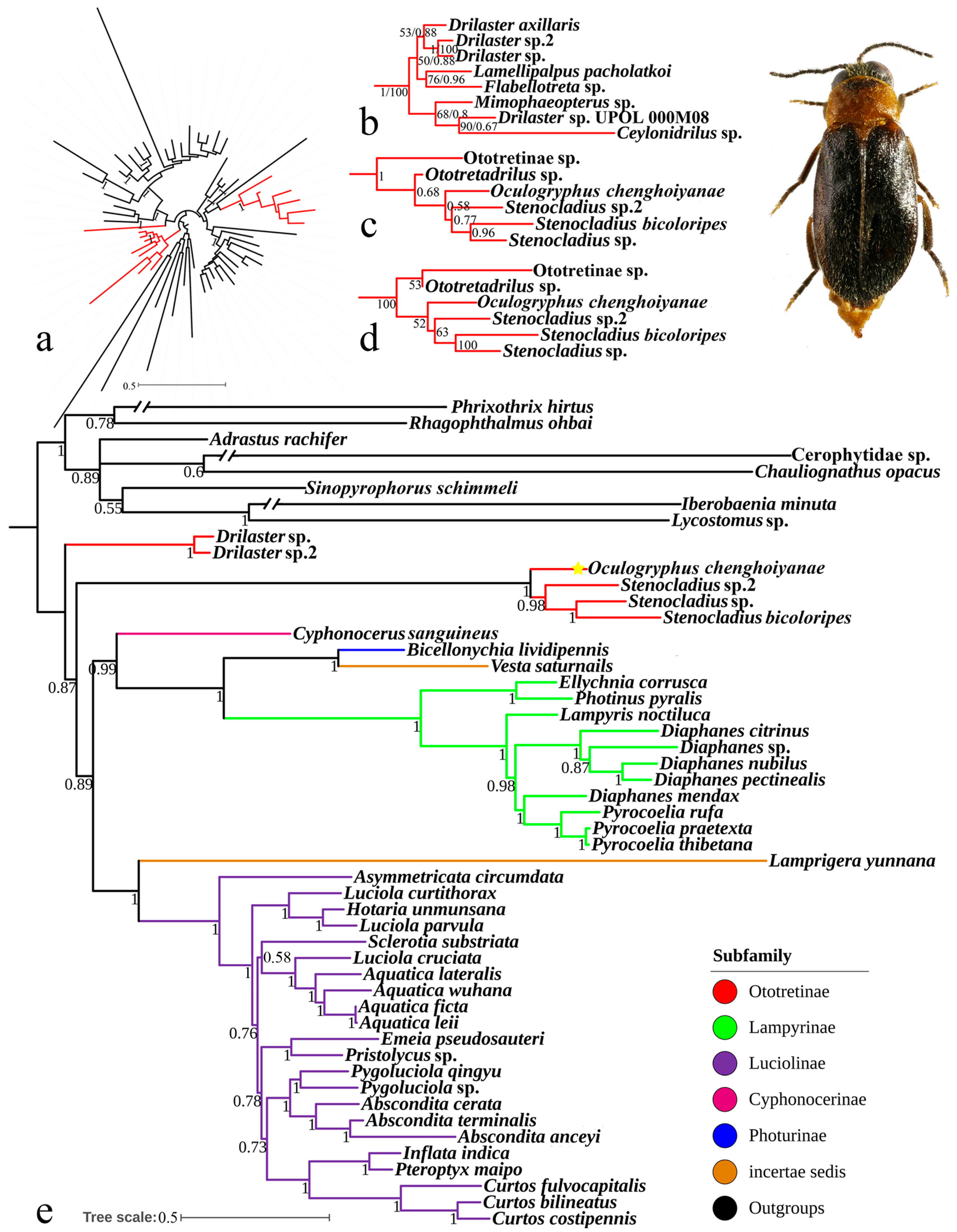 Insects 15 00464 g004