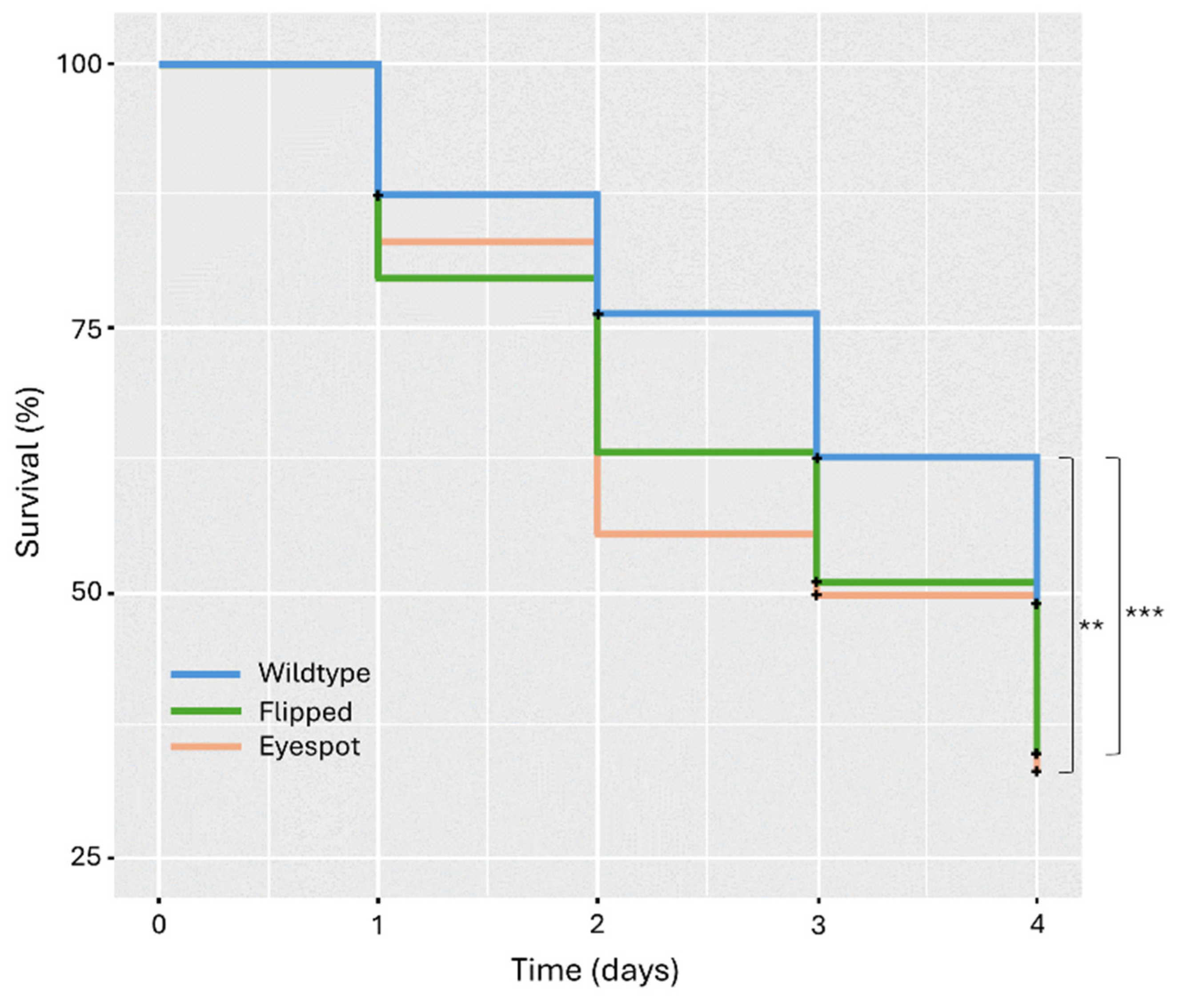 Insects 15 00465 g006