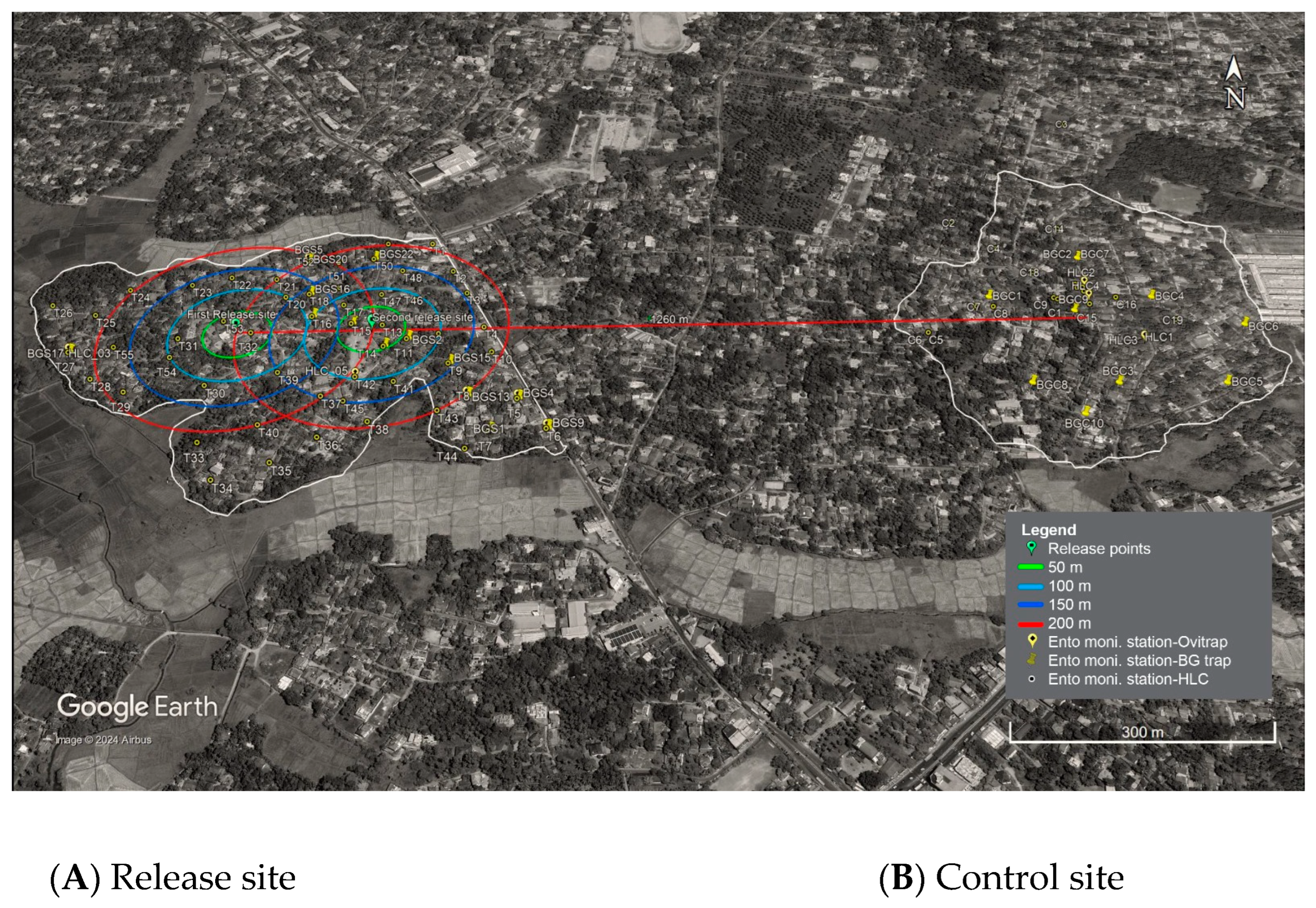 Insects 15 00466 g001 Insects 15 00466 g001