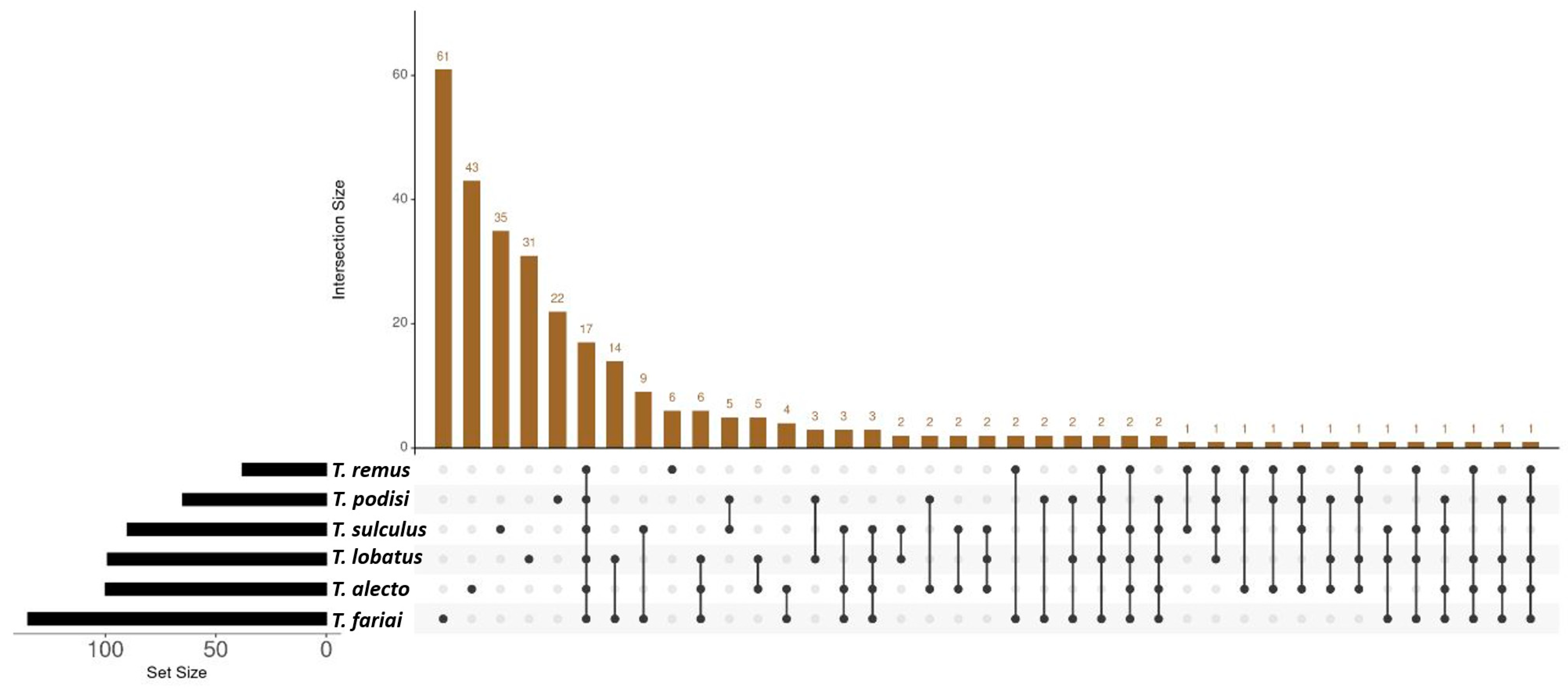 Insects 15 00468 g004 Insects 15 00468 g004