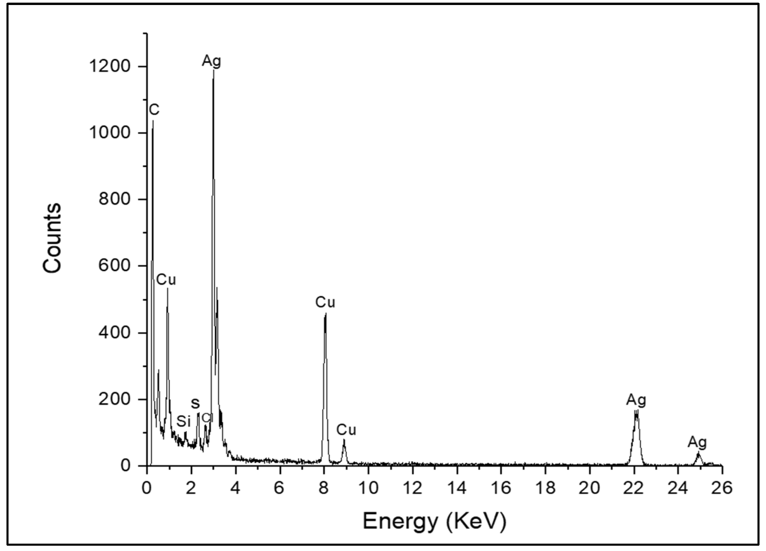 Insects 15 00469 g001