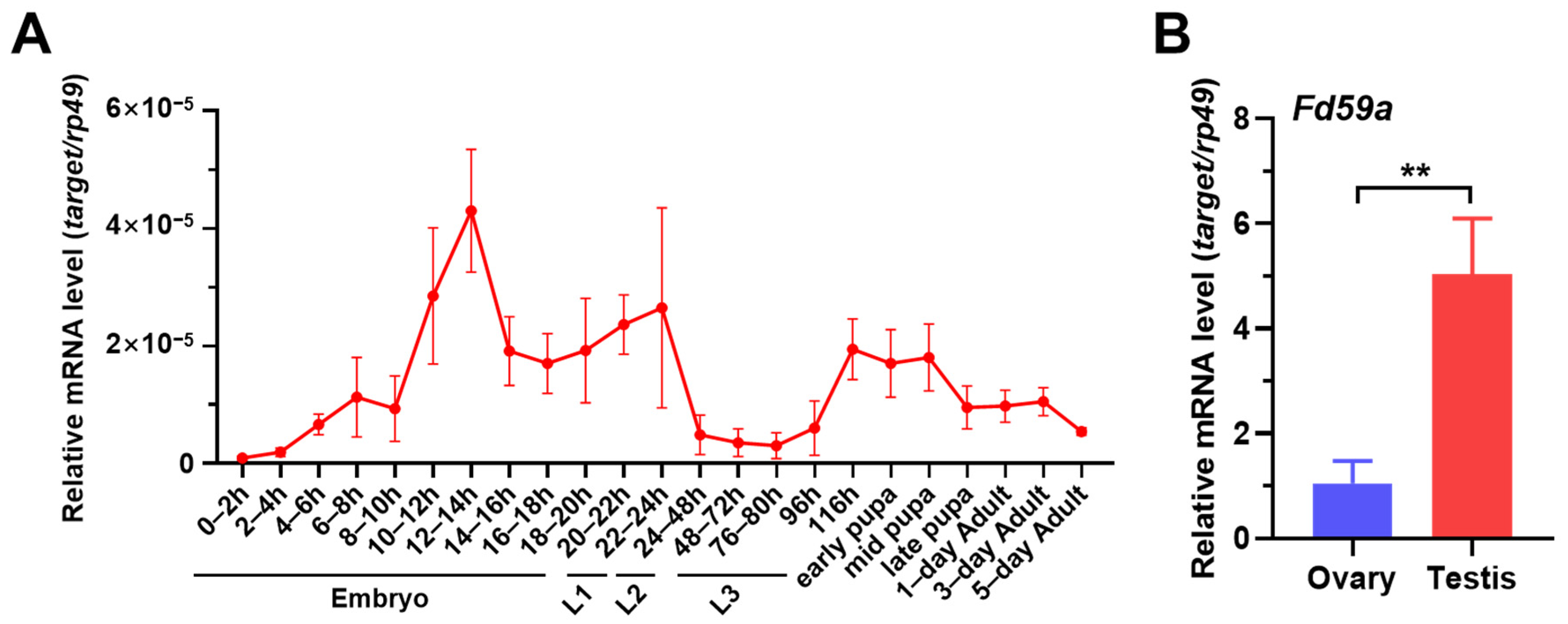 Insects 15 00480 g001