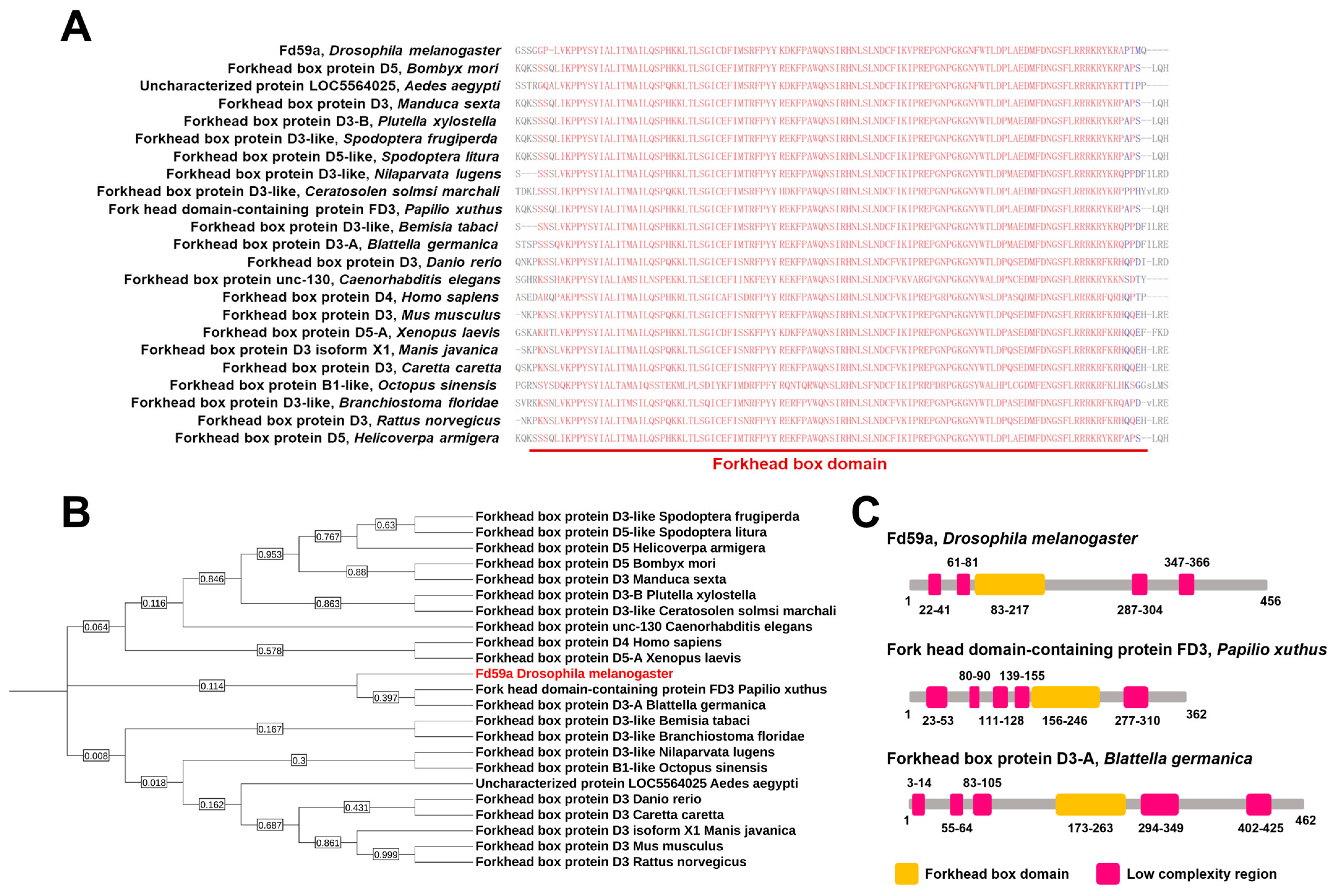 Insects 15 00480 g002