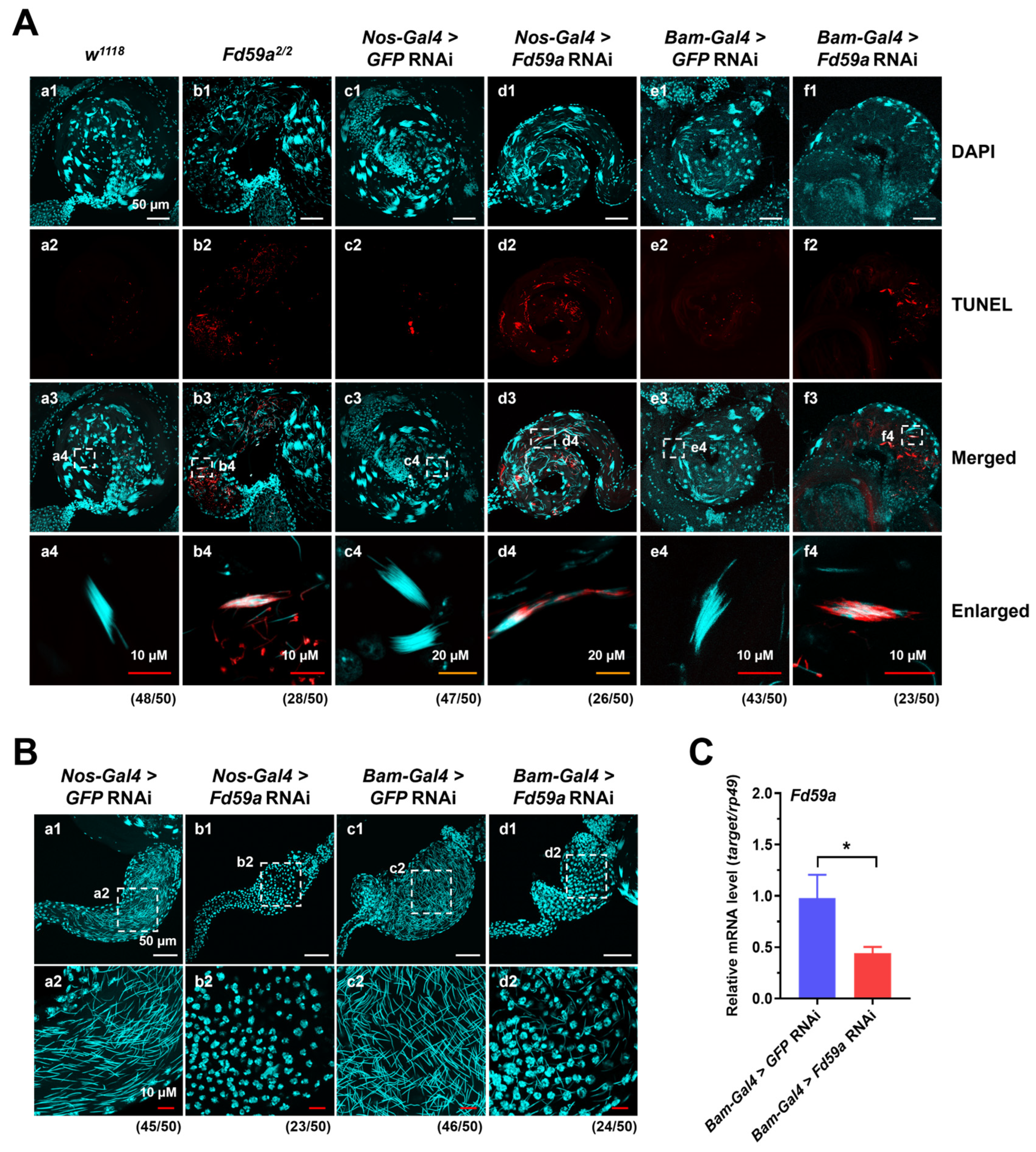 Insects 15 00480 g005