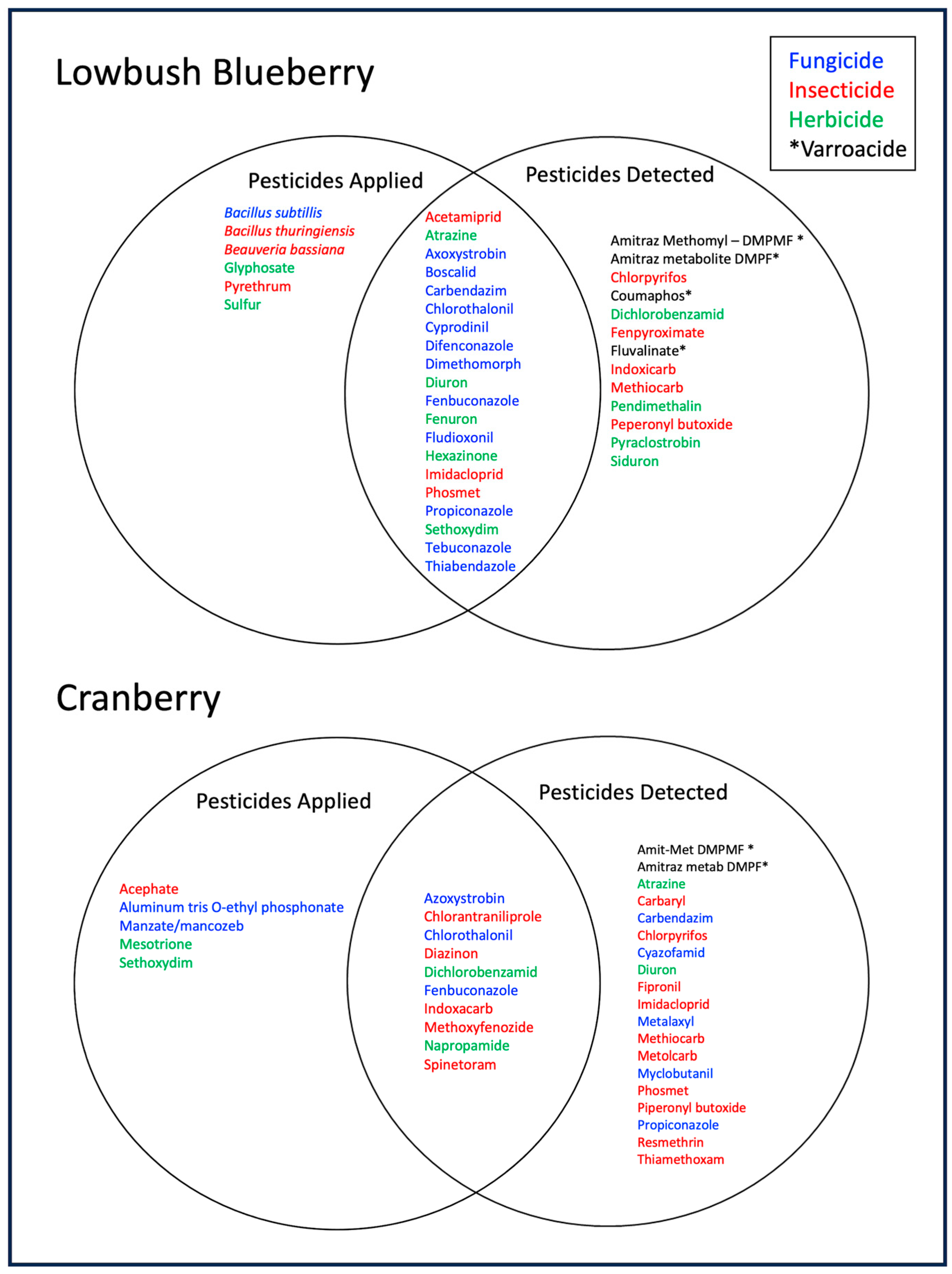 Insects 15 00489 g002