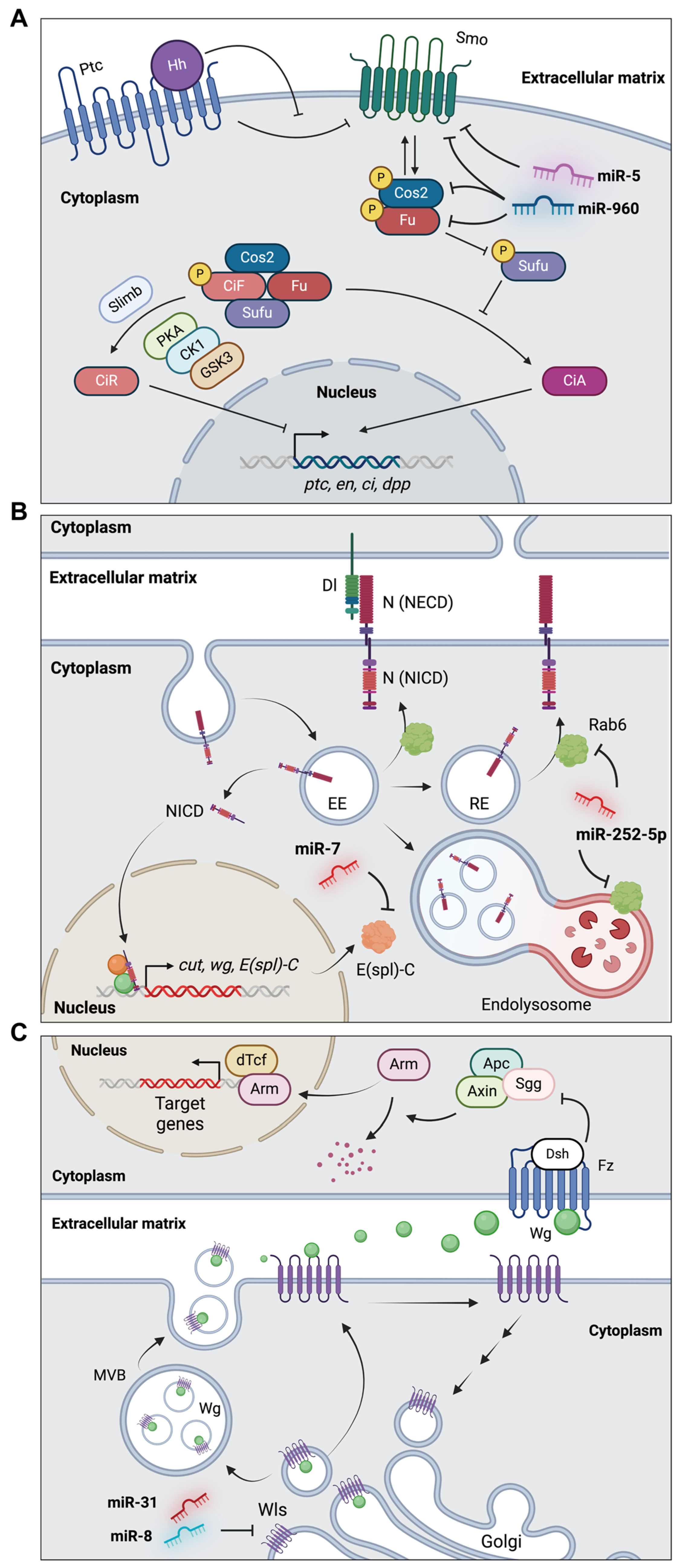 Insects 15 00491 g004