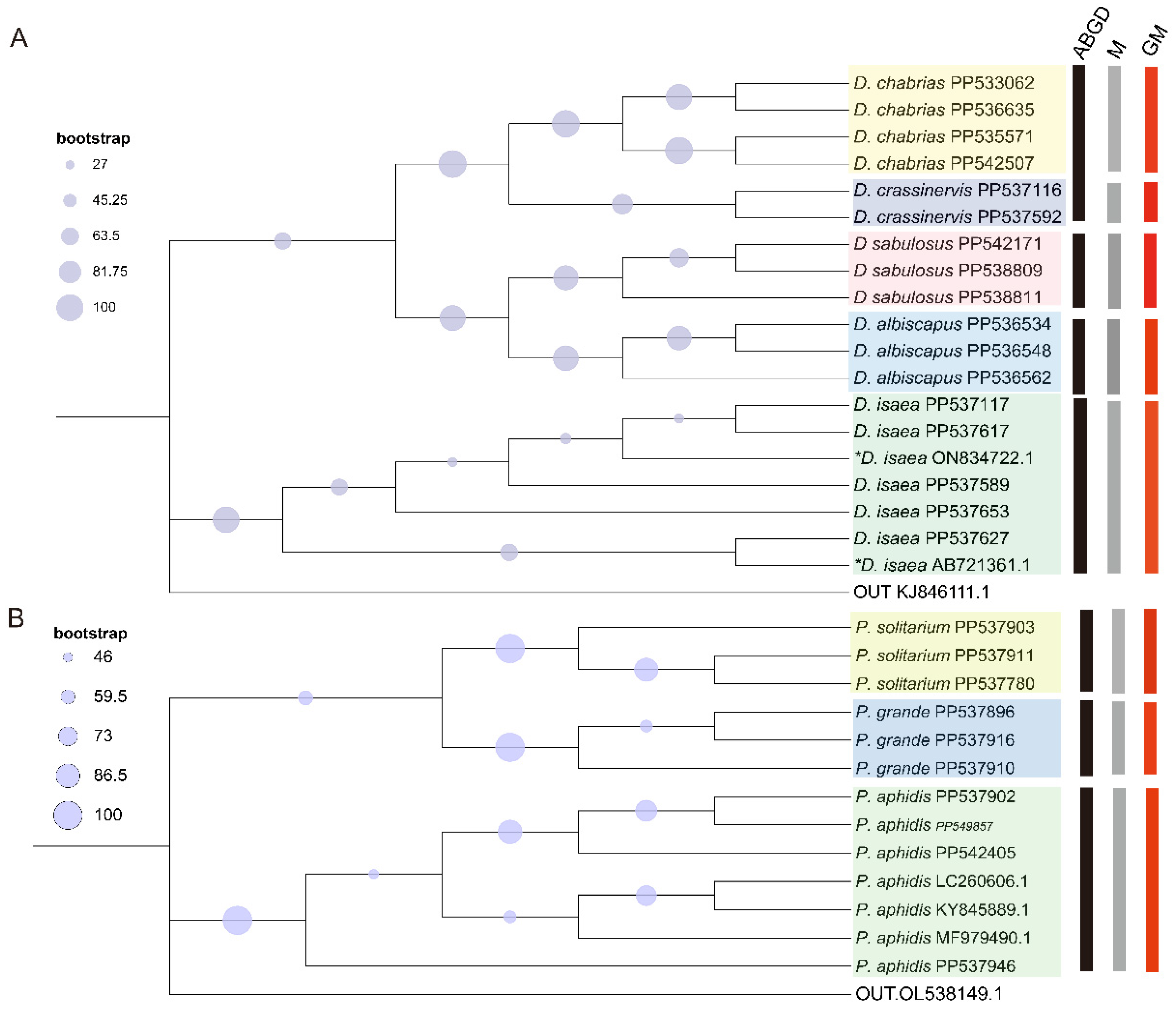 Insects 15 00497 g004