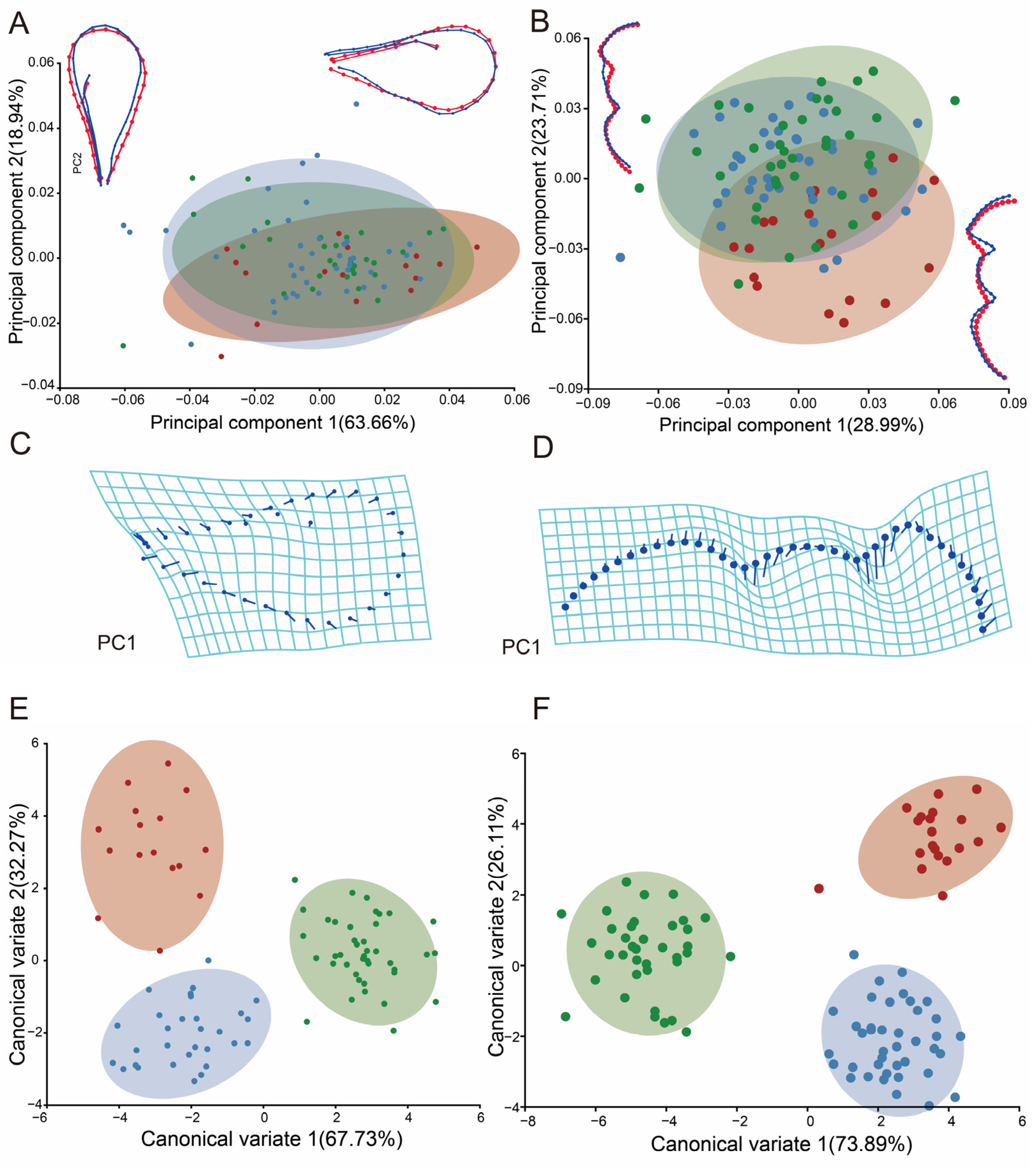 Insects 15 00497 g007