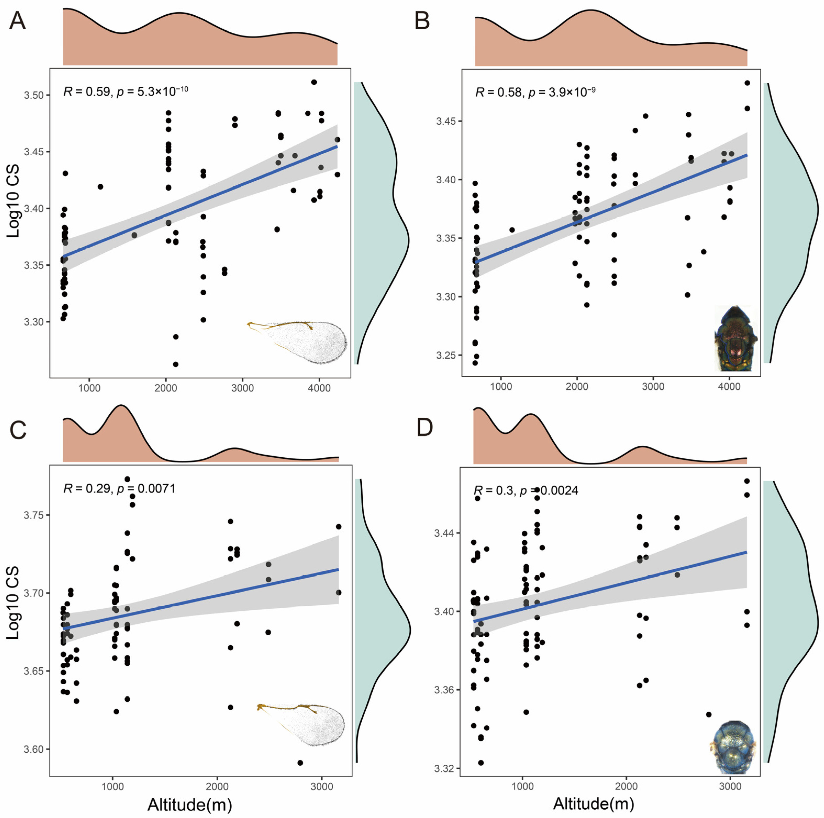 Insects 15 00497 g008