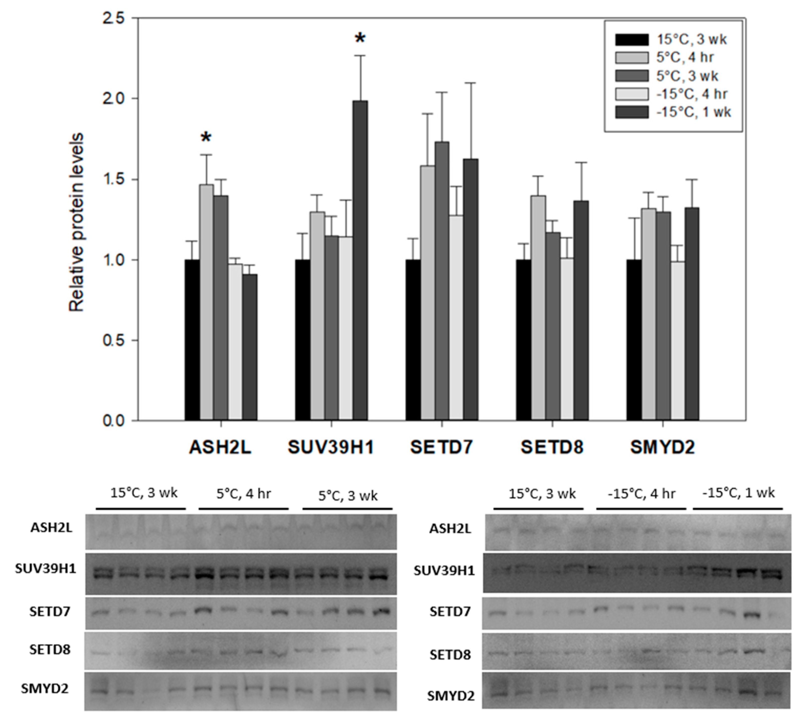 Insects 15 00498 g002