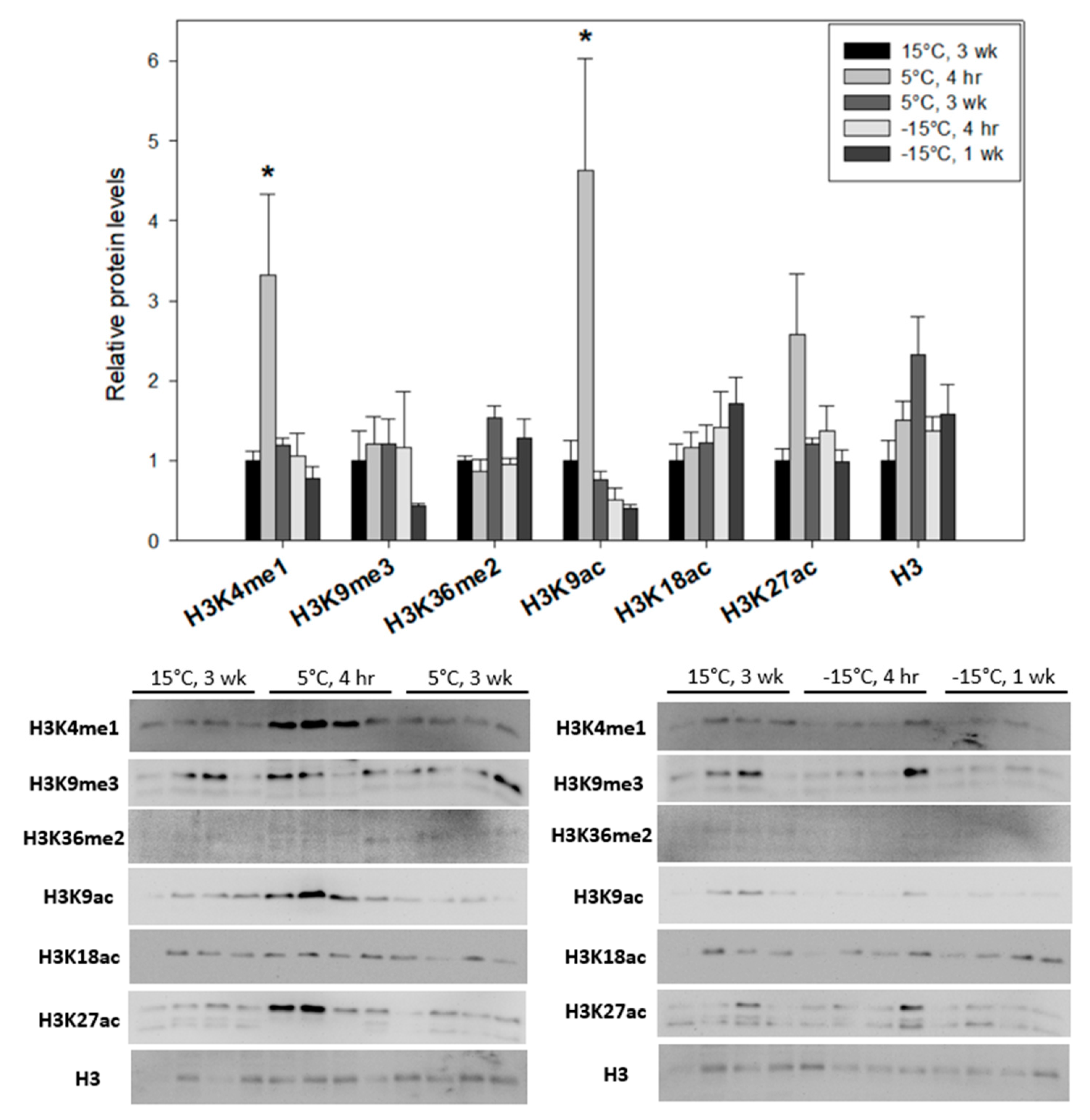 Insects 15 00498 g004