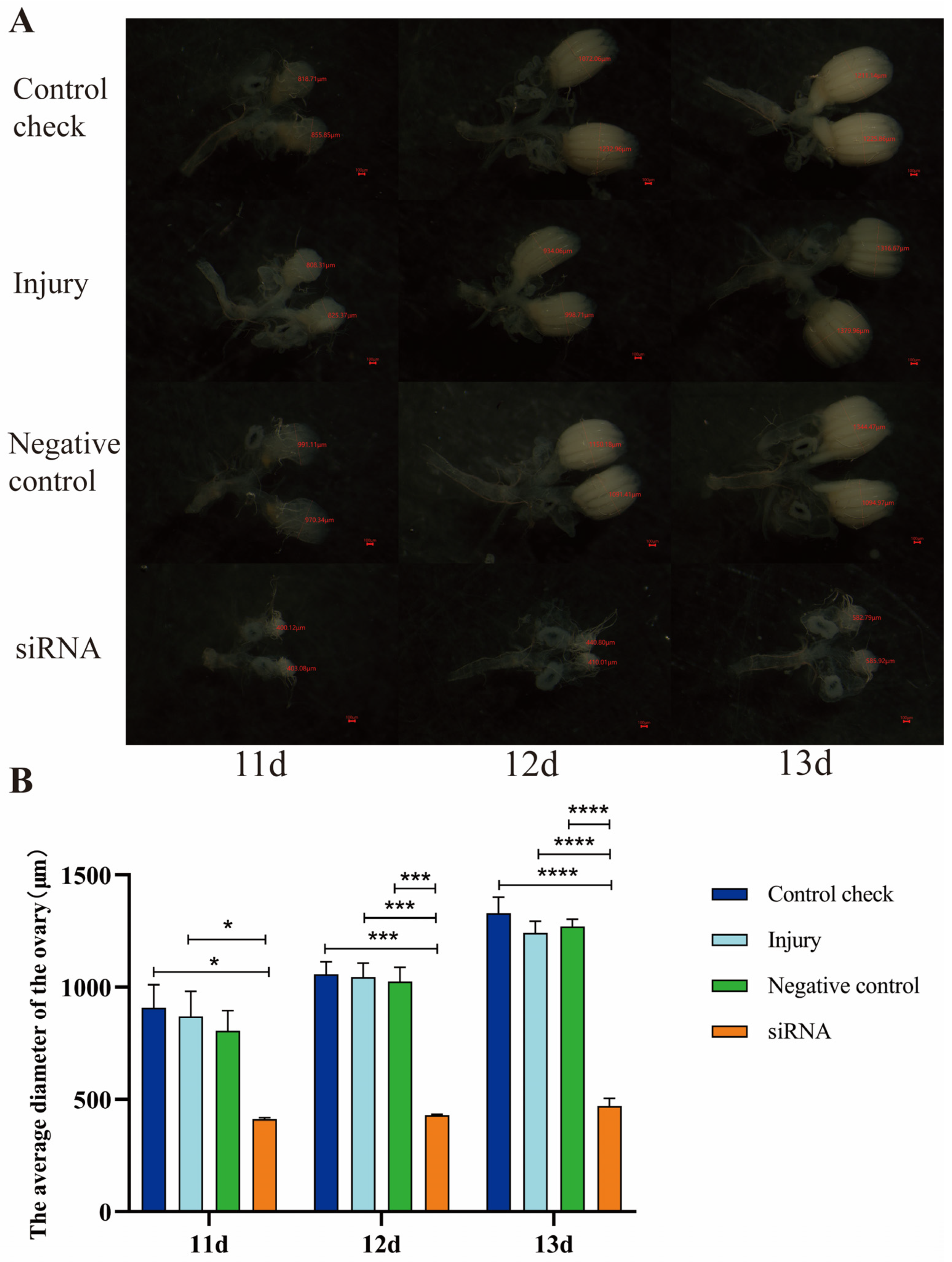Insects 15 00499 g008