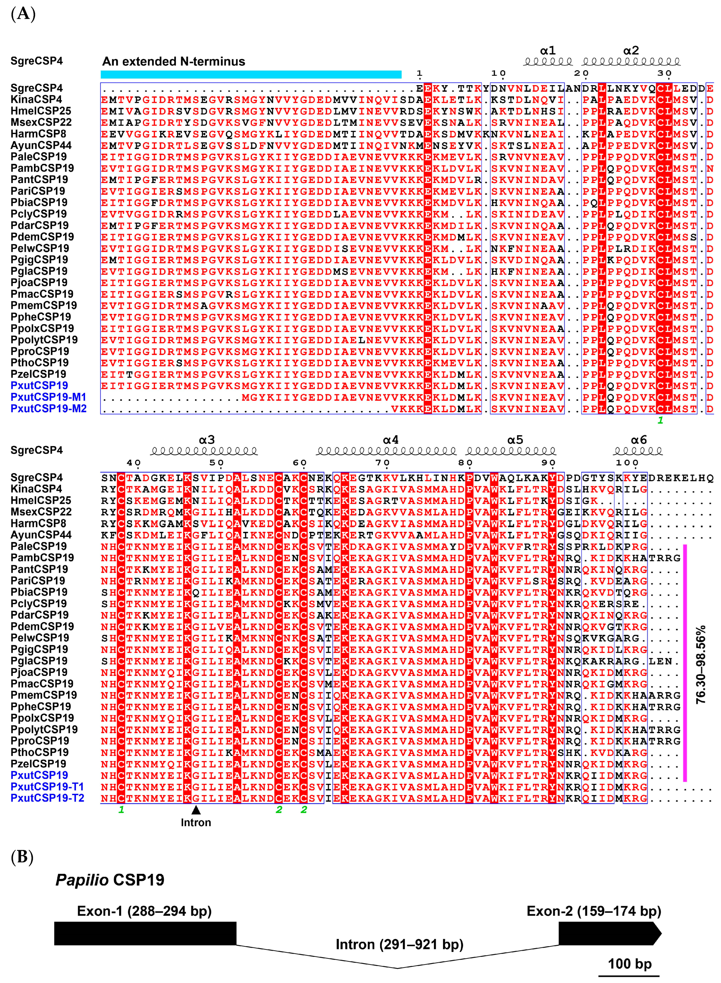 Insects 15 00501 g001