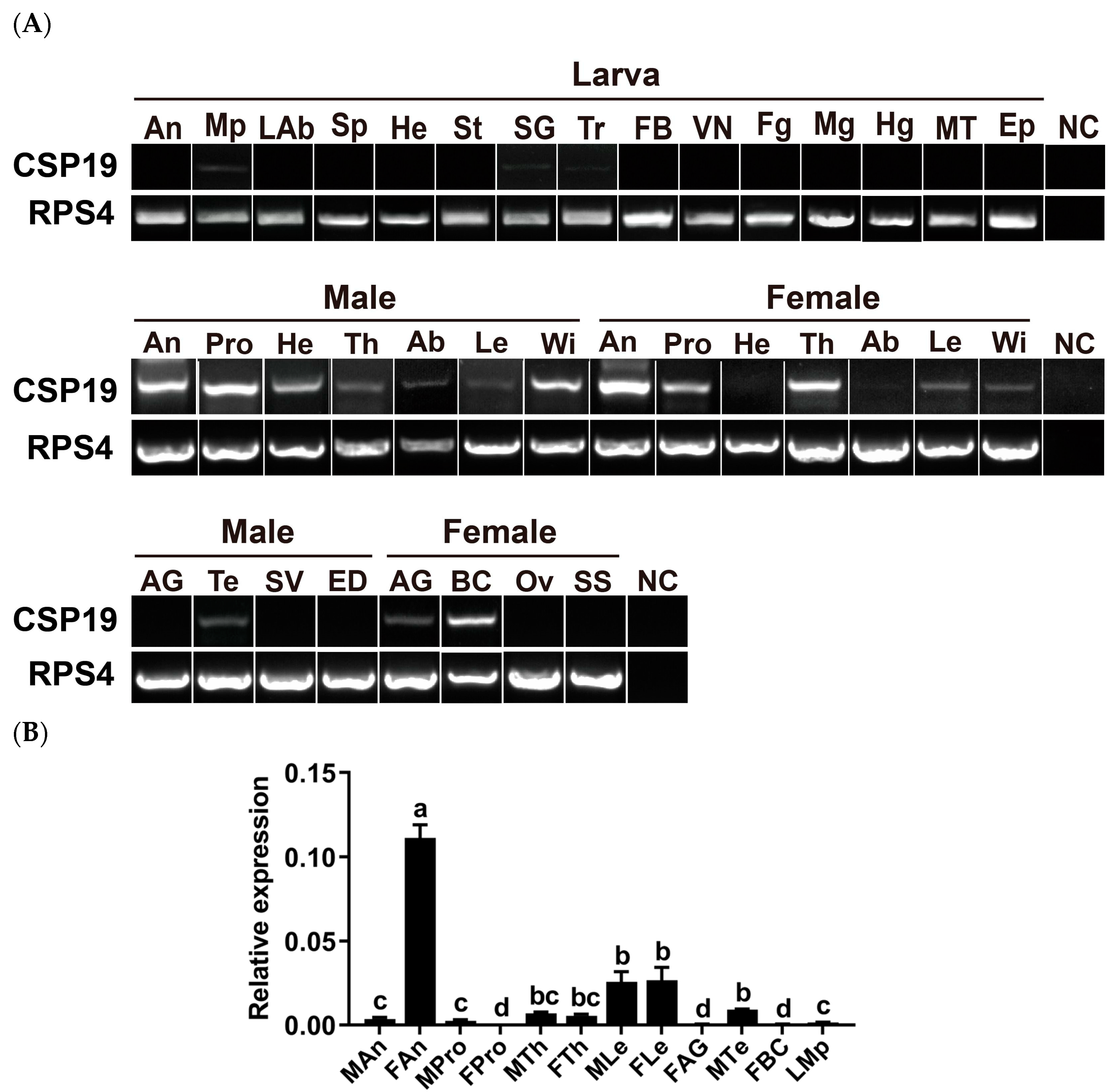 Insects 15 00501 g002