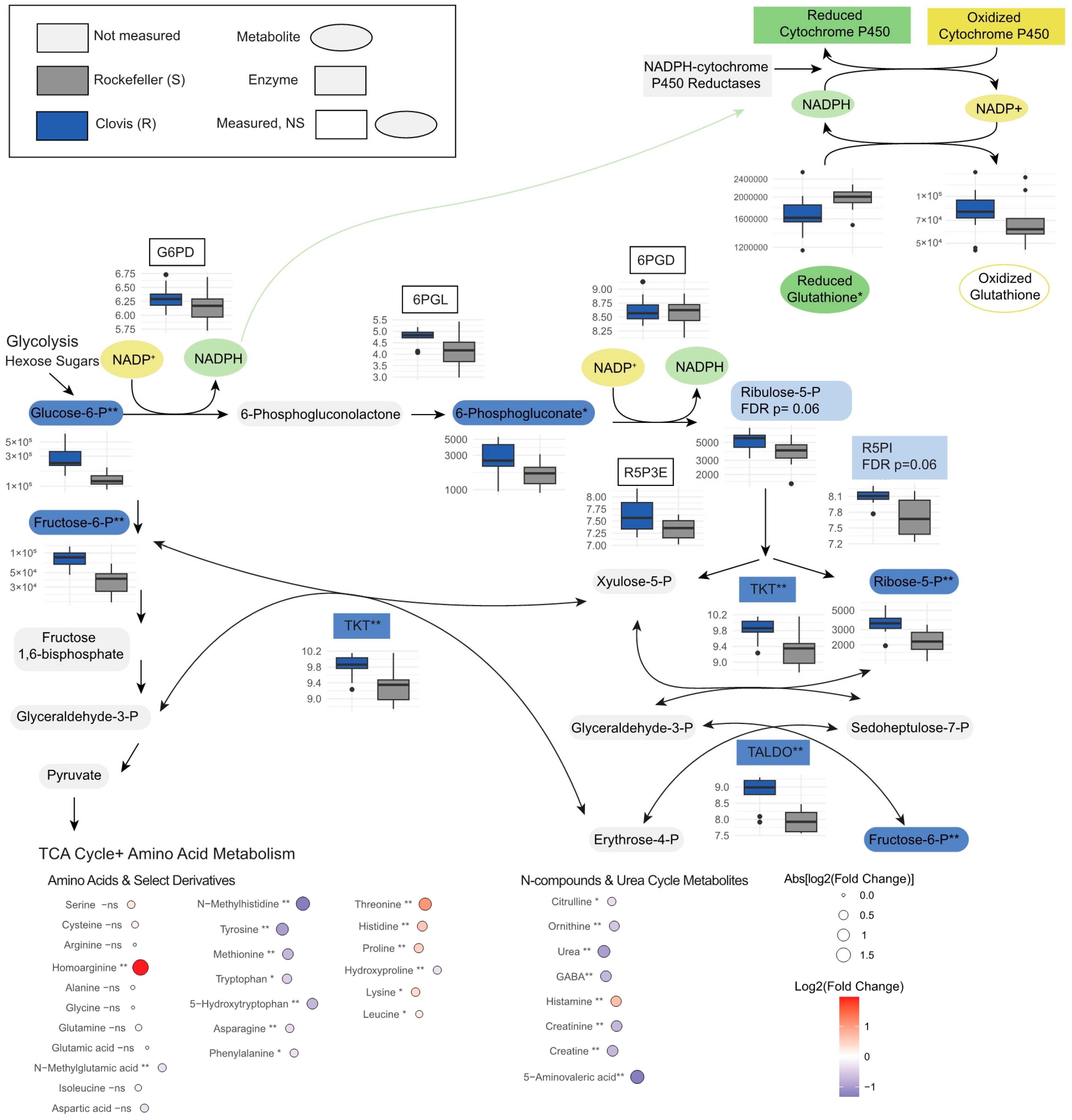 Insects 15 00507 g004