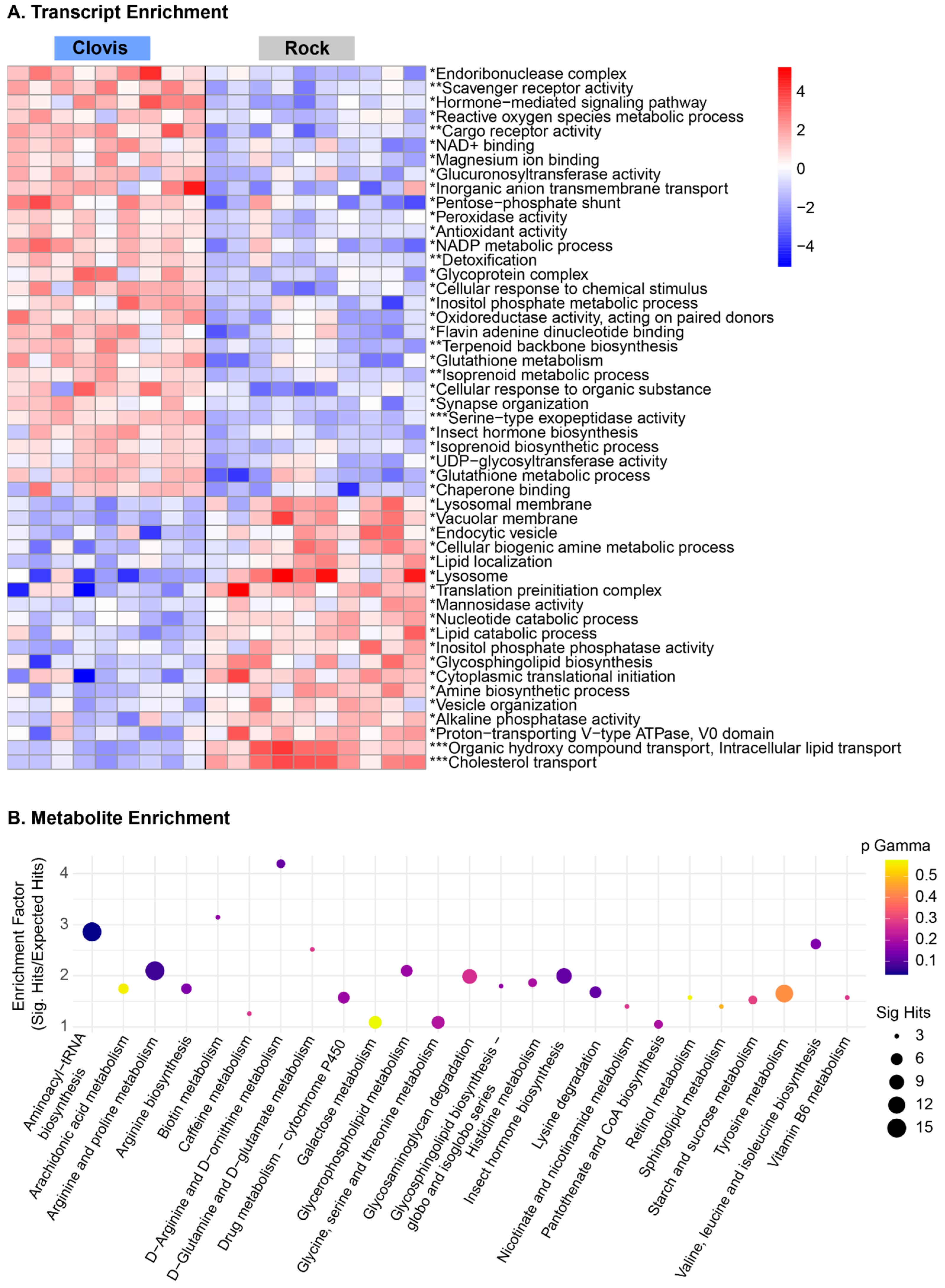 Insects 15 00507 g006