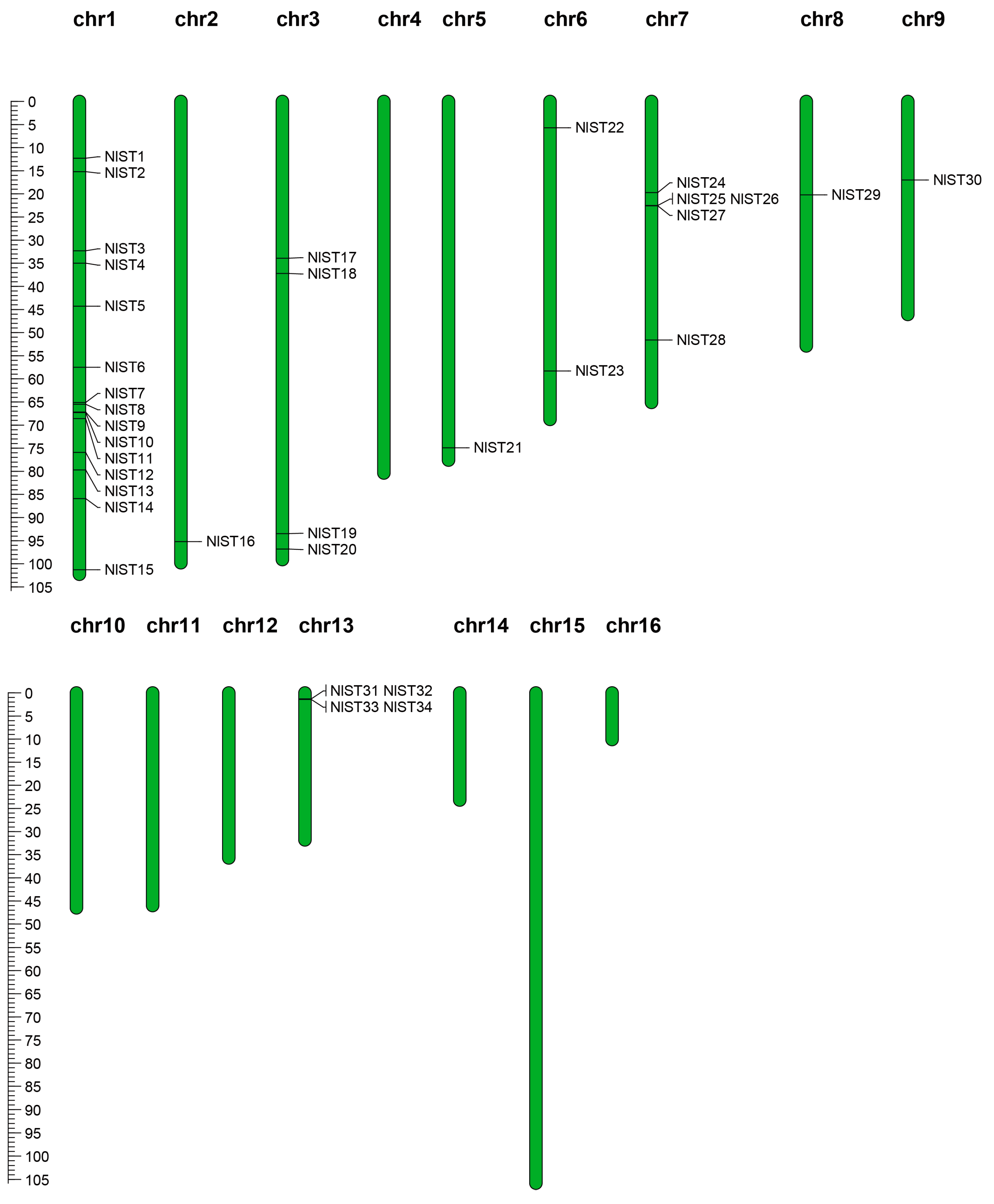 Insects 15 00509 g003