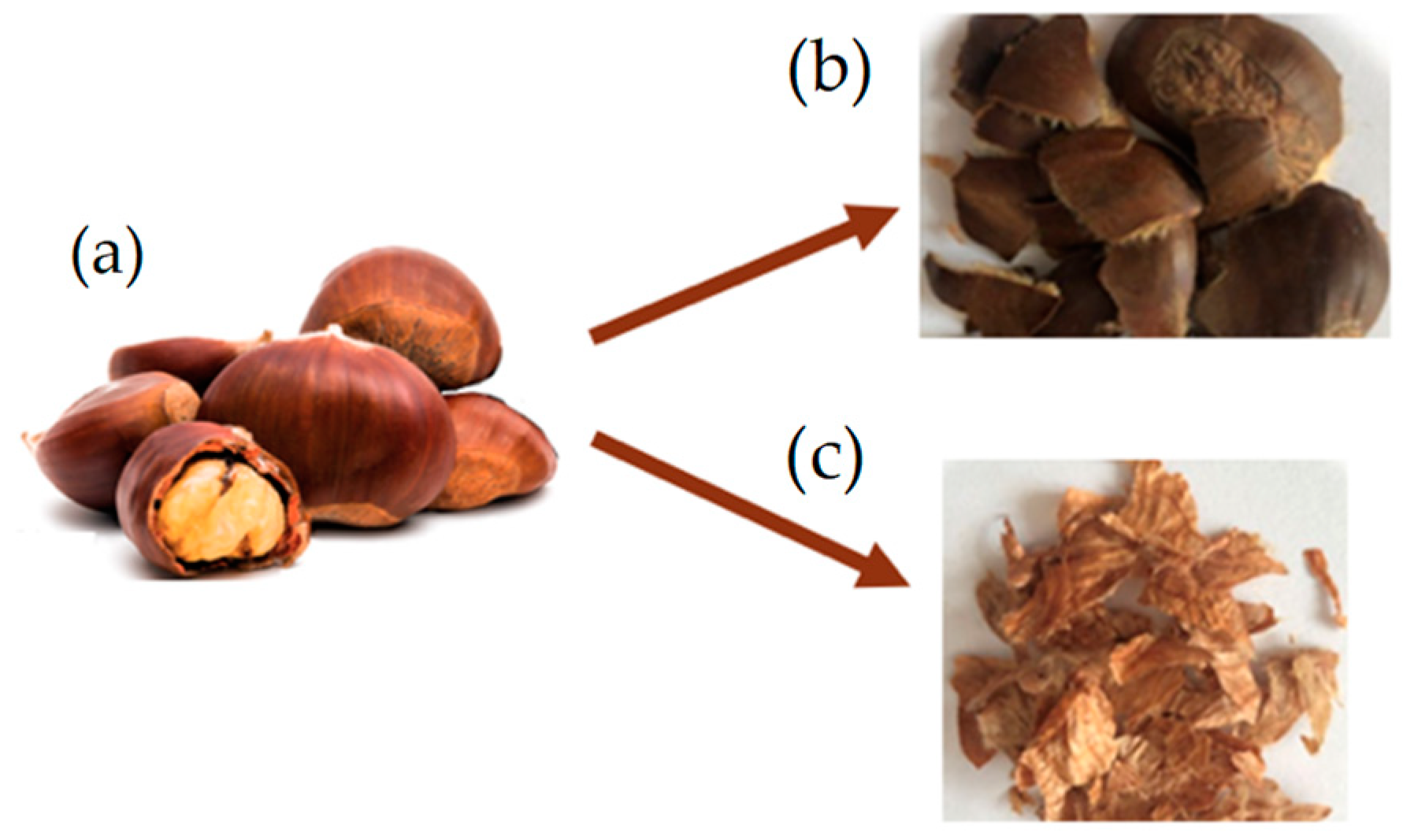 Insects 15 00512 g002