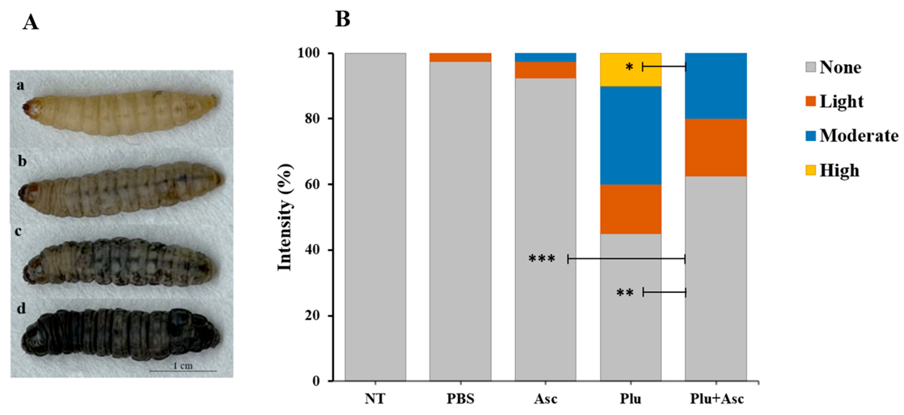 Insects 15 00514 g002