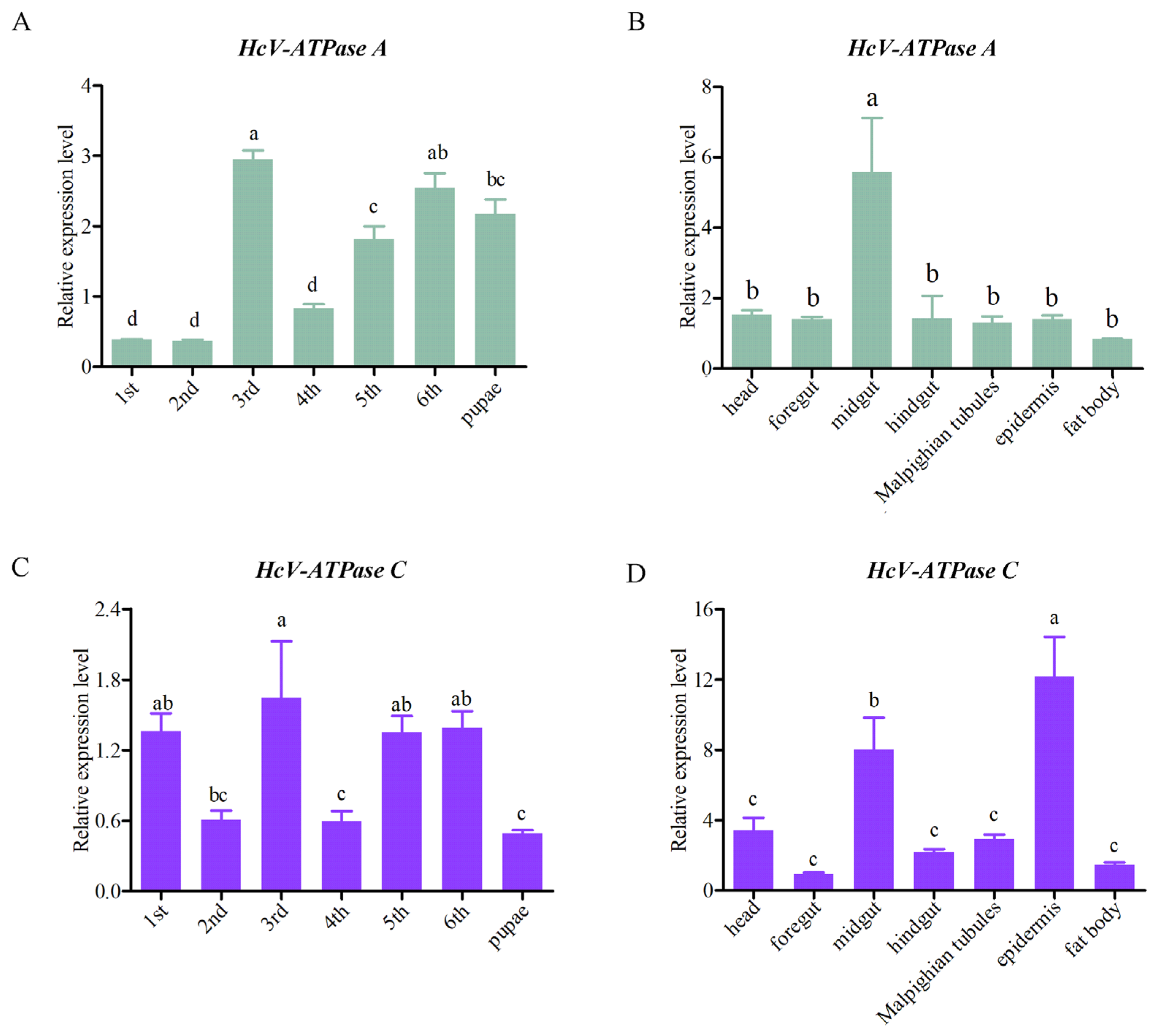 Insects 15 00515 g002