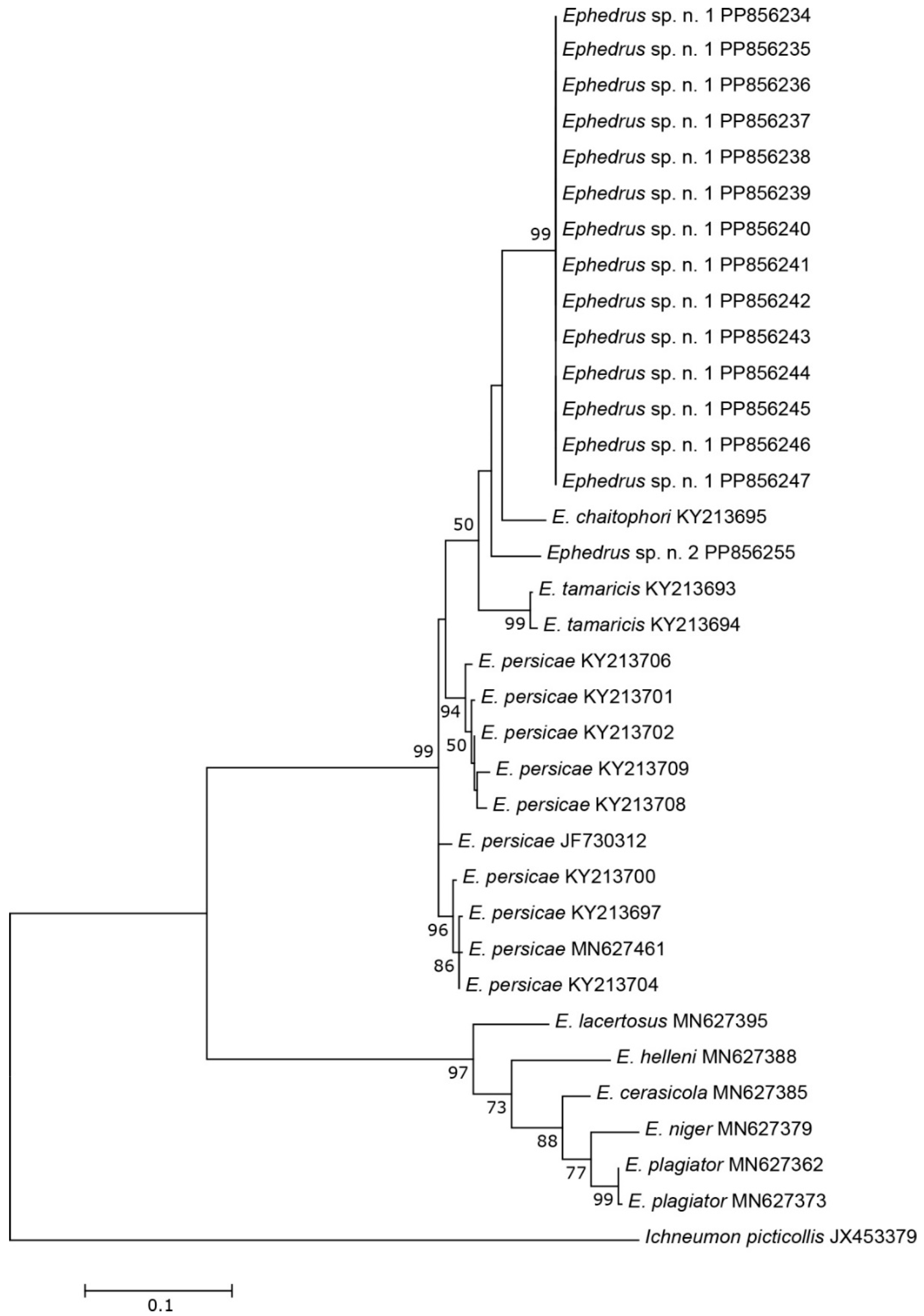 Insects 15 00518 g004