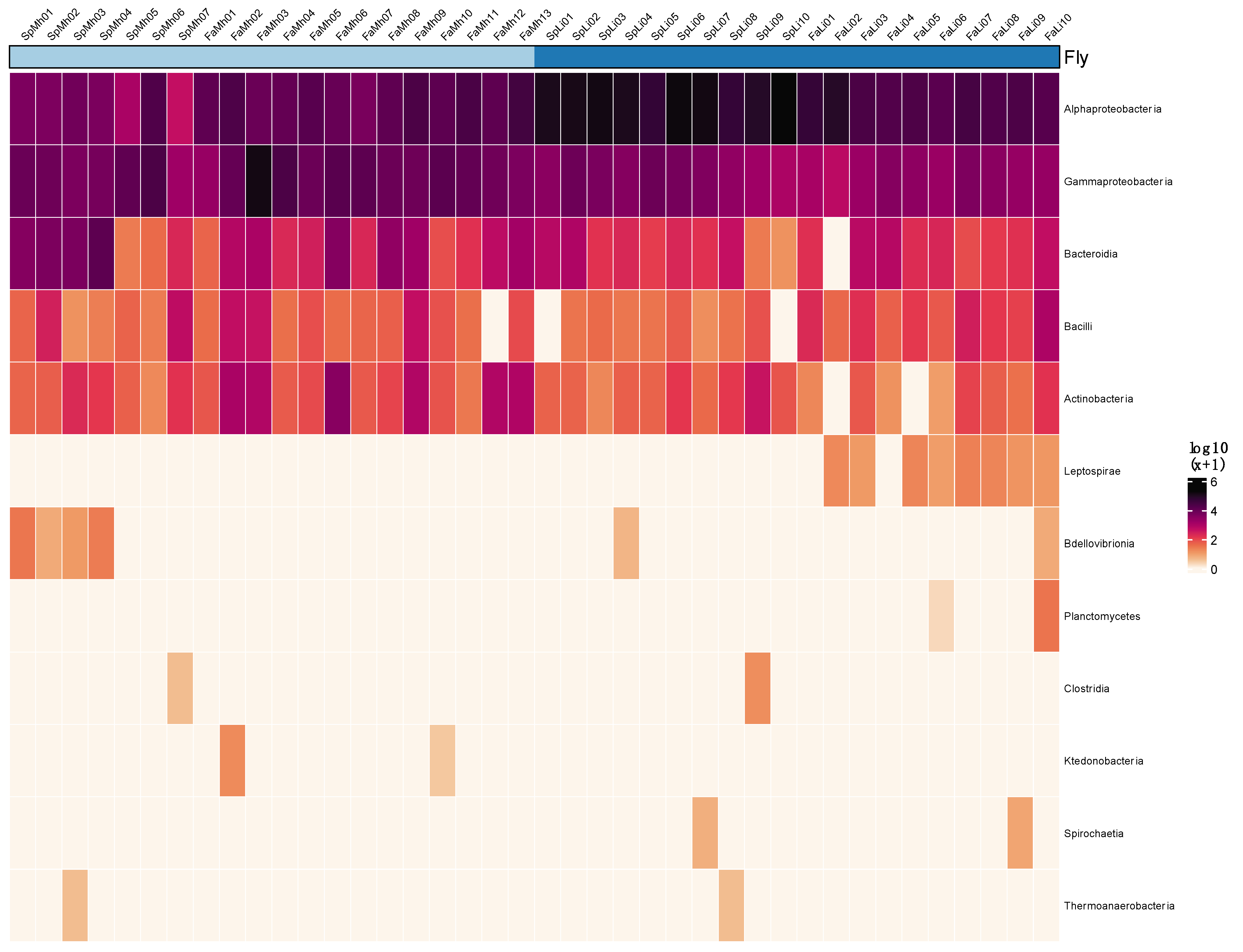 Insects 15 00525 g001