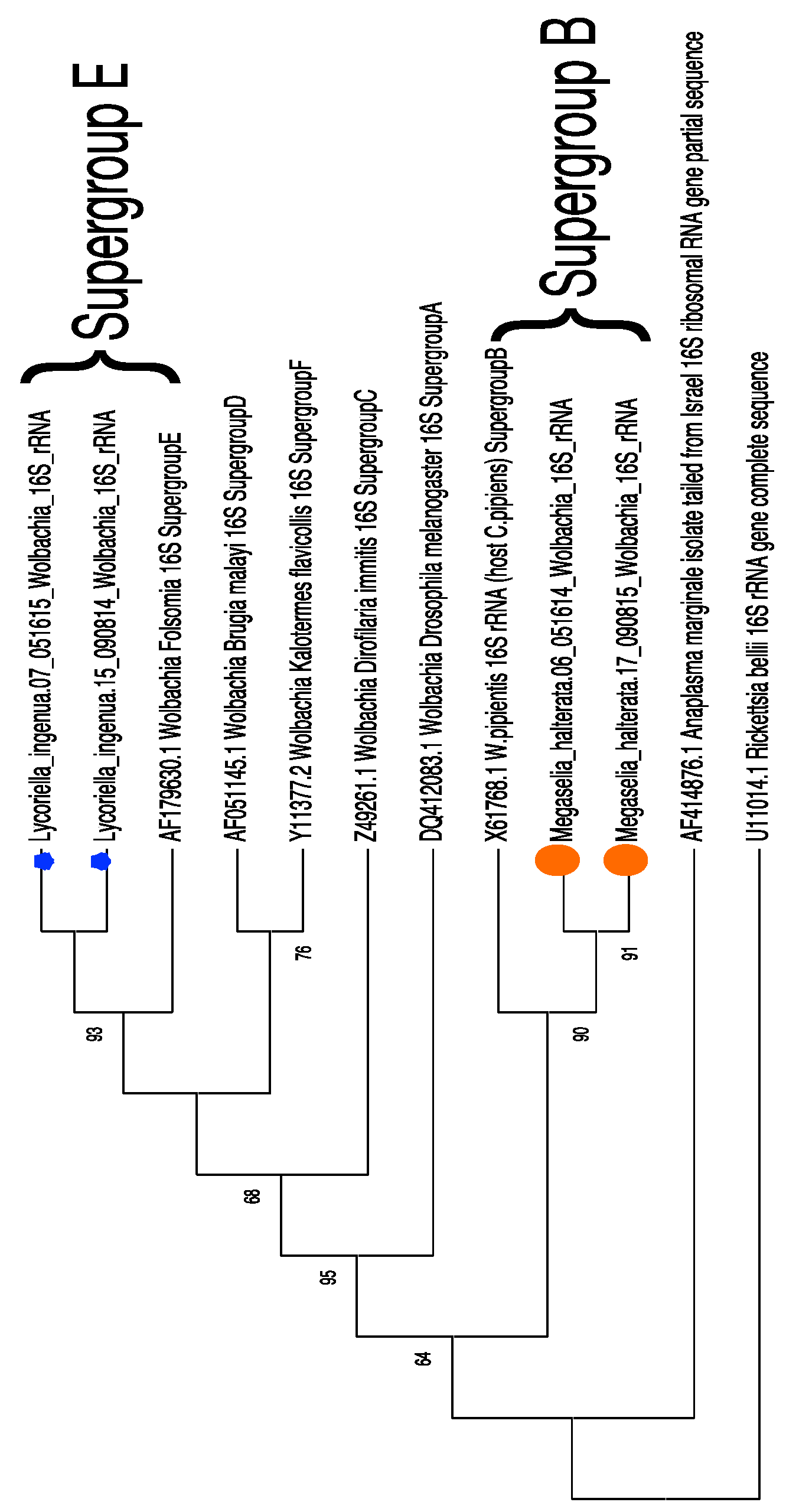 Insects 15 00525 g005