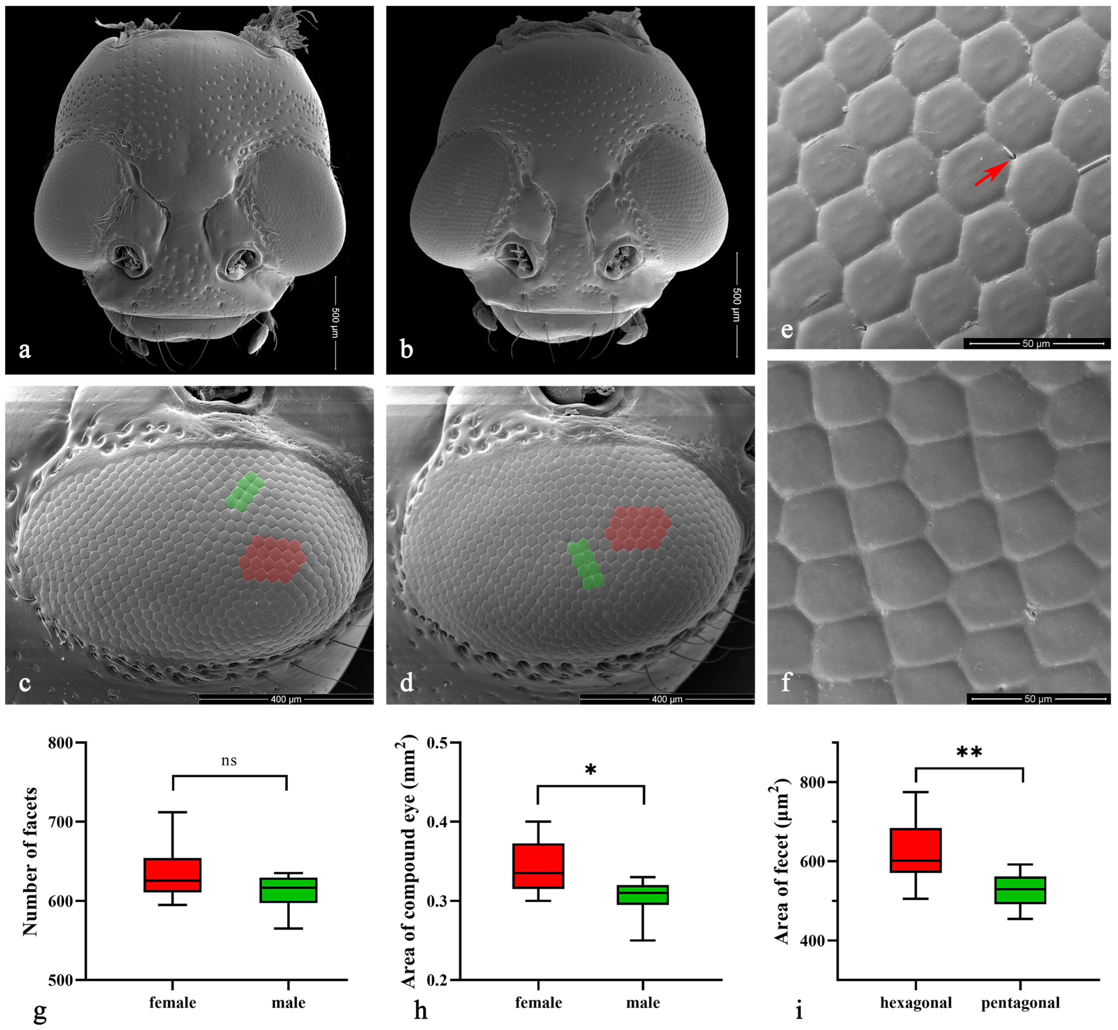 Insects 15 00532 g003