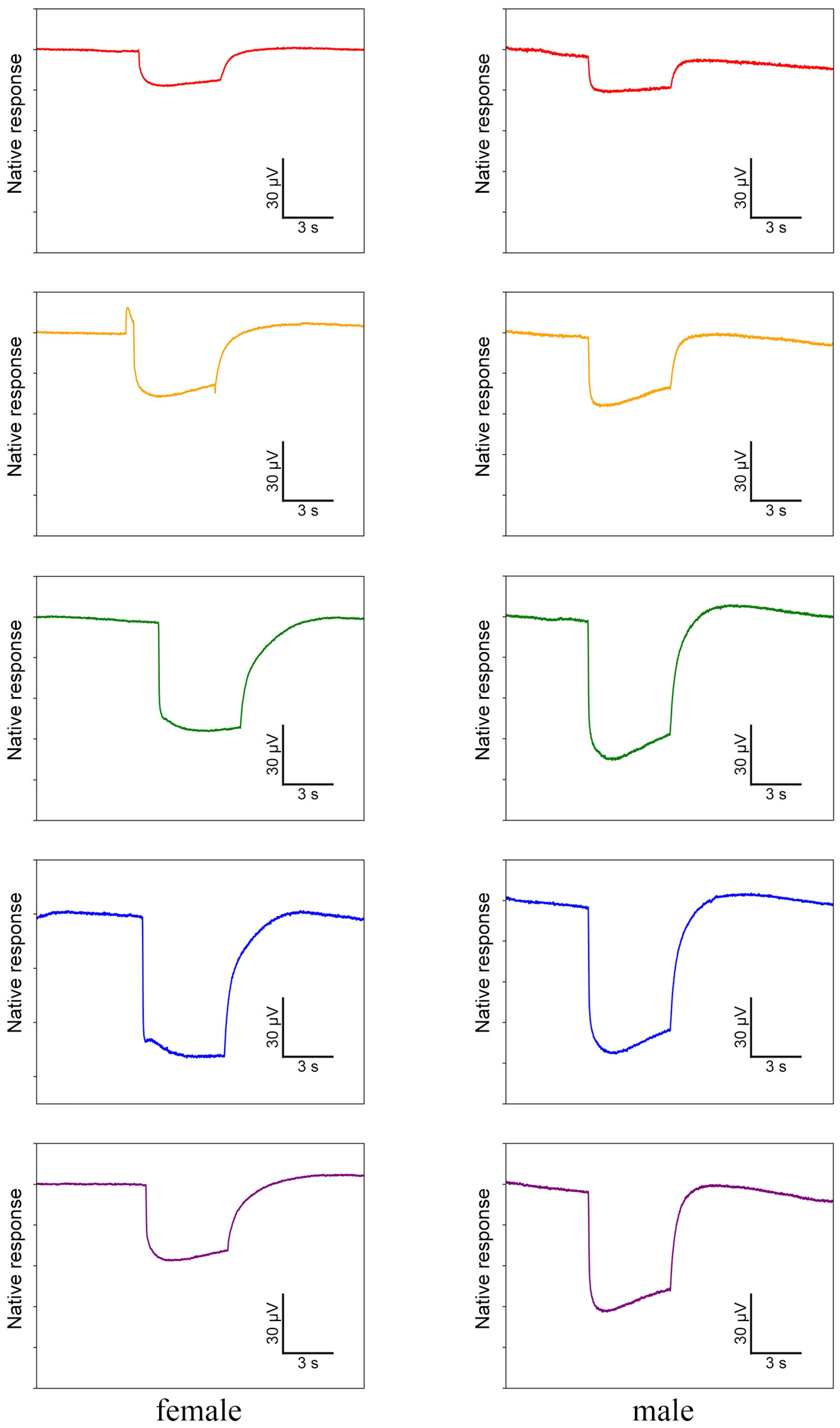 Insects 15 00532 g007