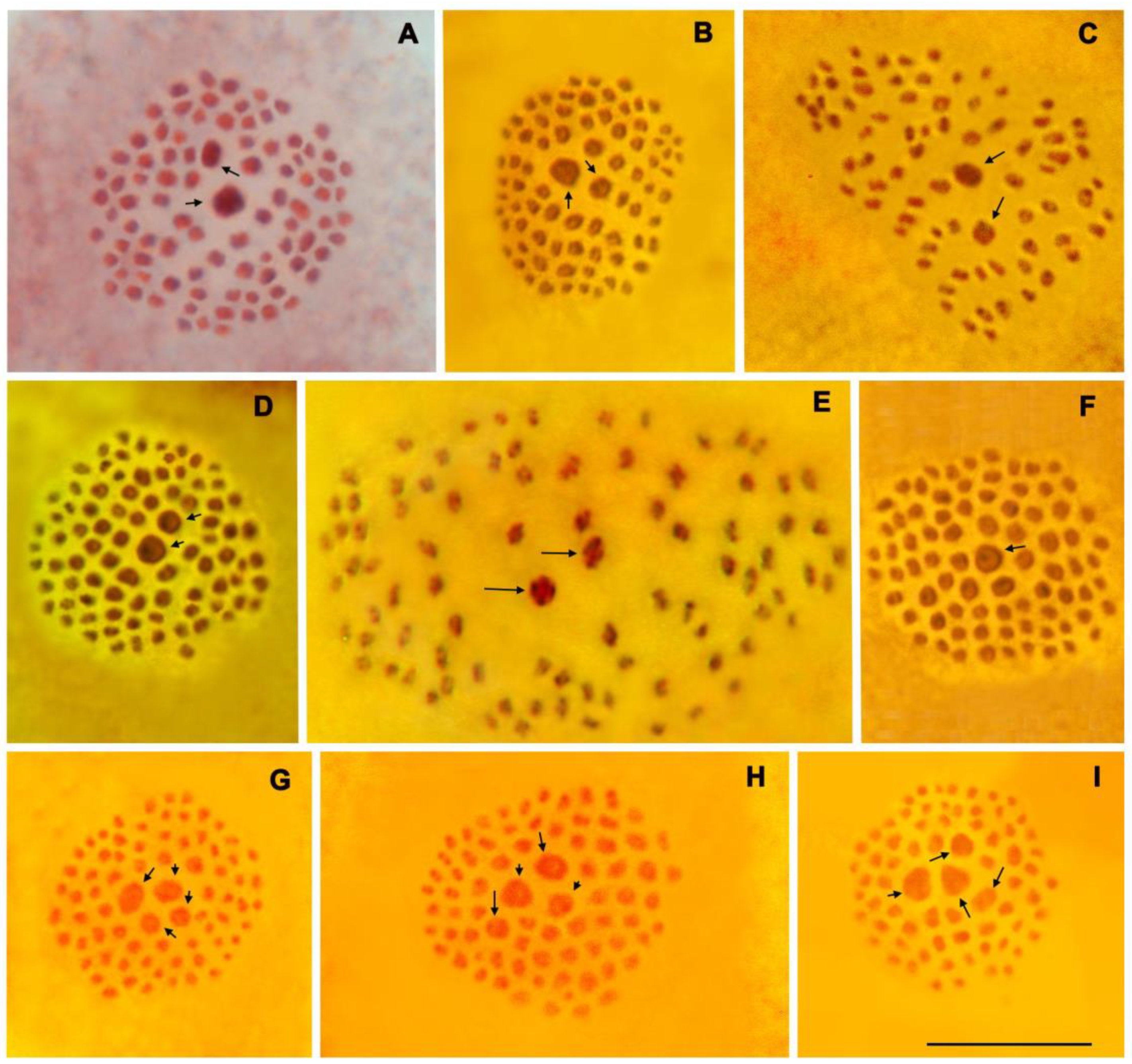 Insects 15 00545 g001 Insects 15 00545 g001