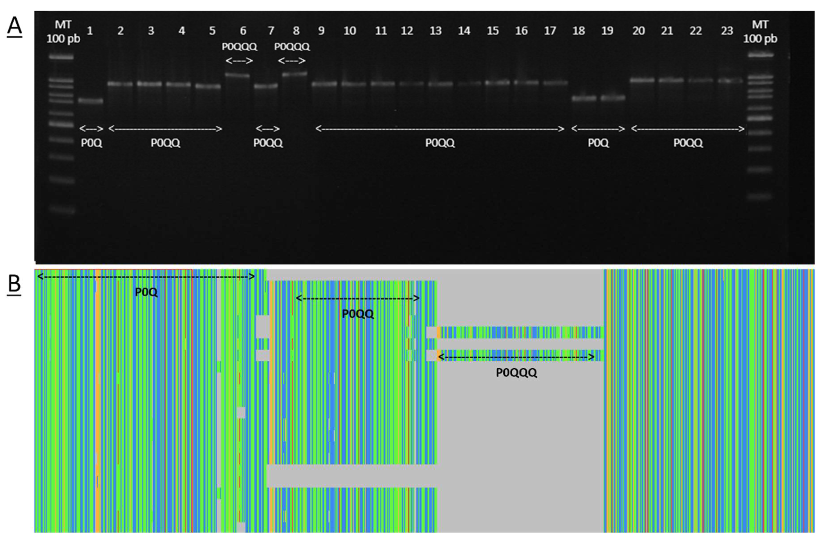 Insects 15 00549 g002