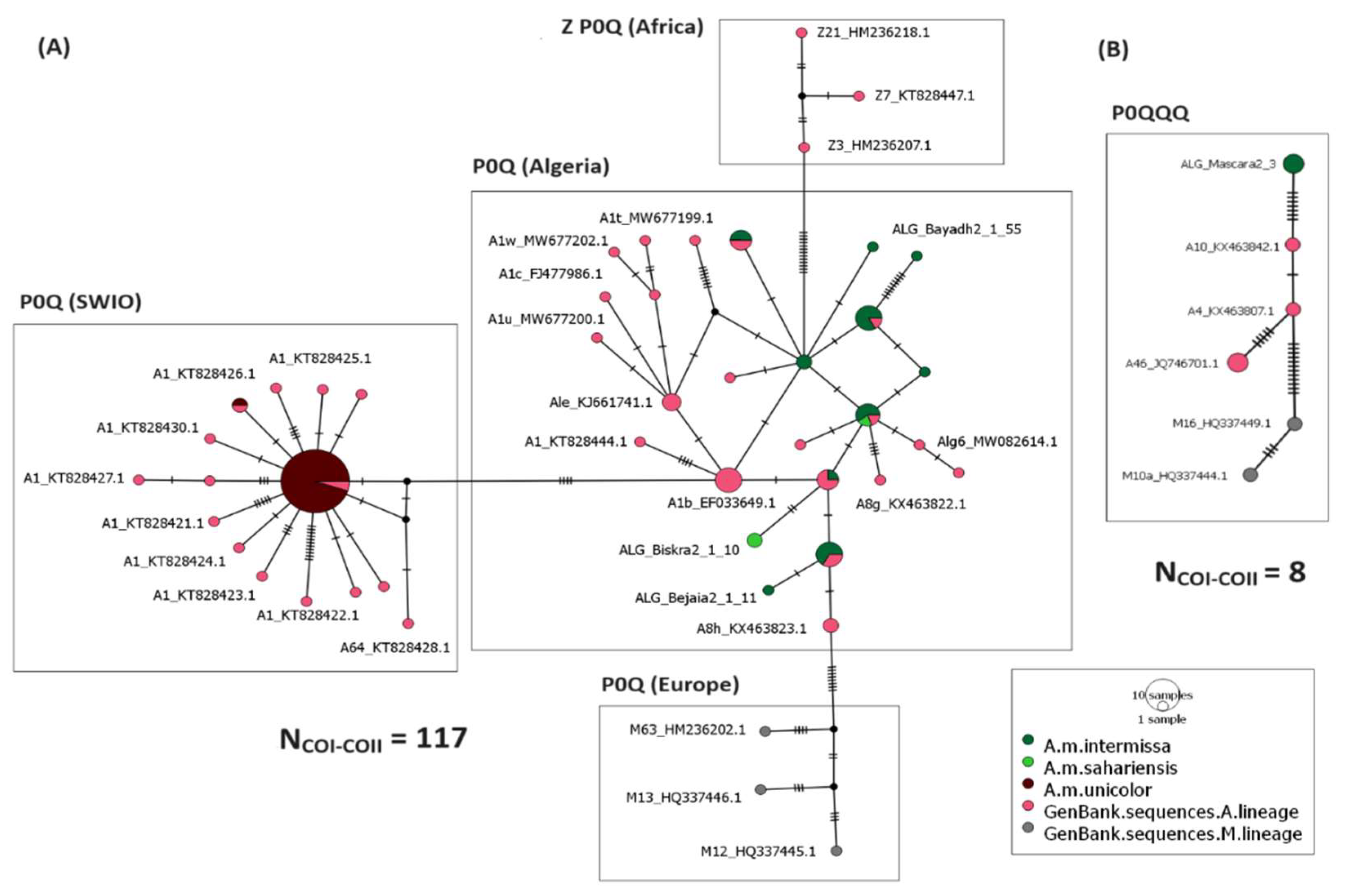 Insects 15 00549 g003