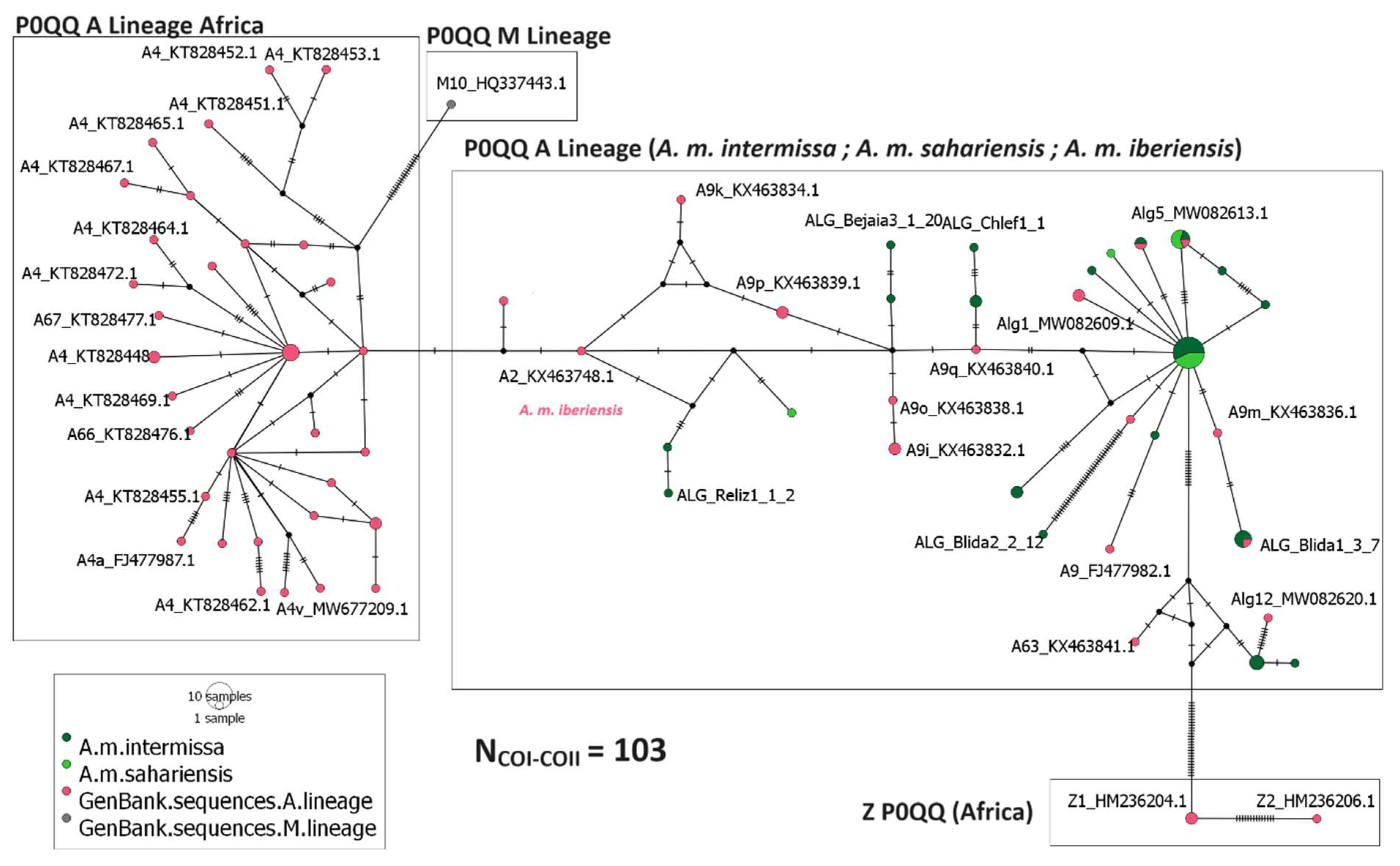 Insects 15 00549 g004