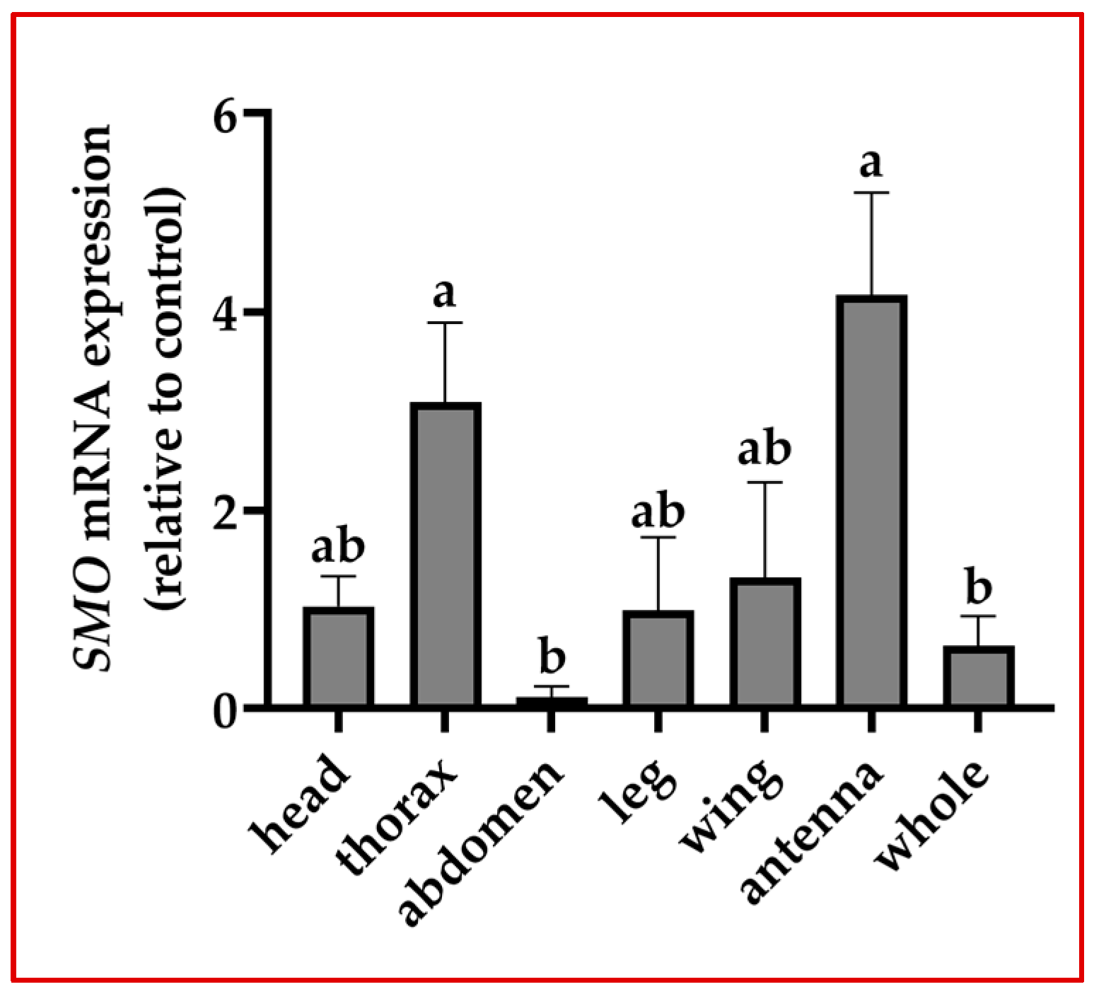 Insects 15 00555 g001