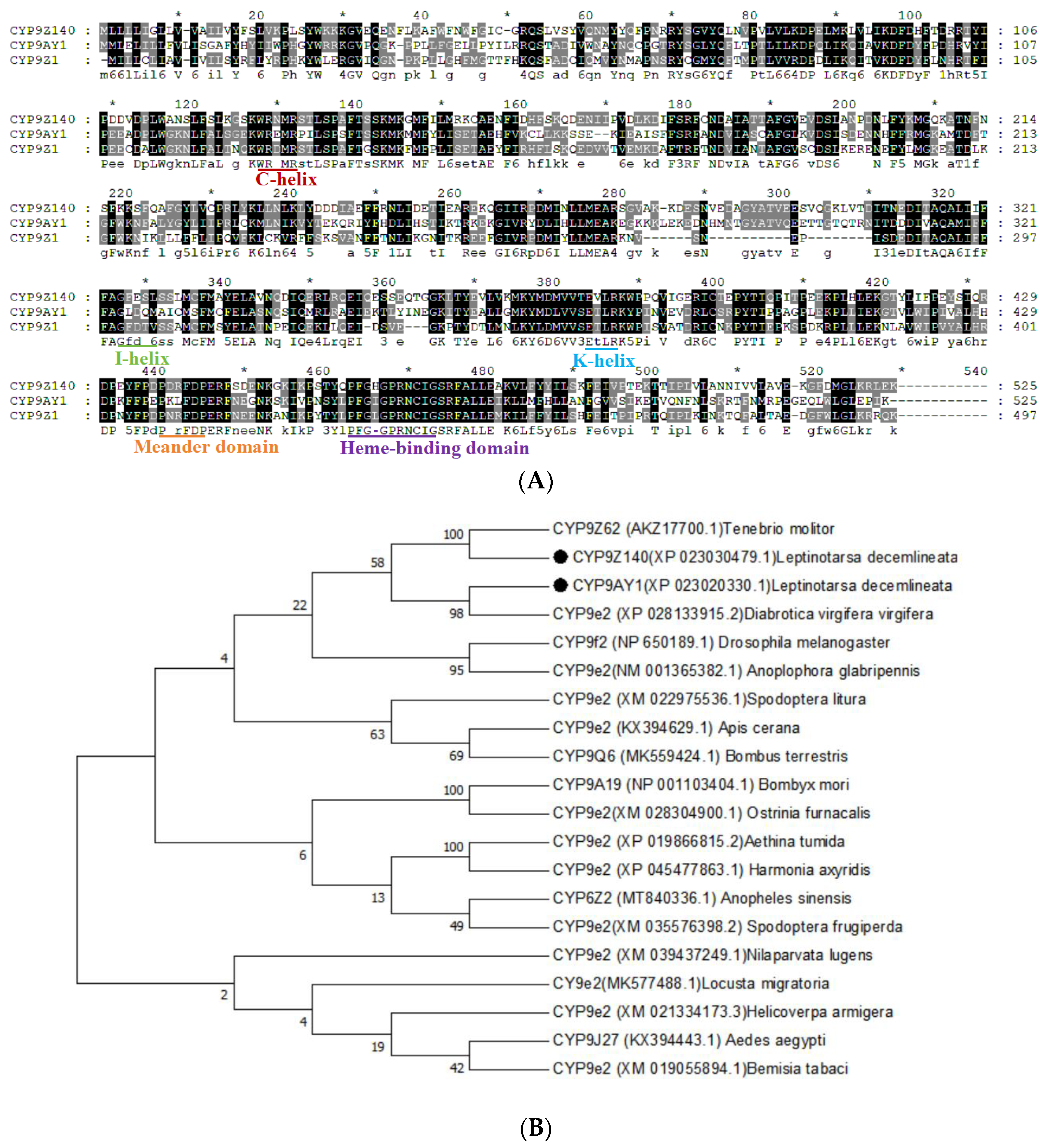 Insects 15 00559 g004