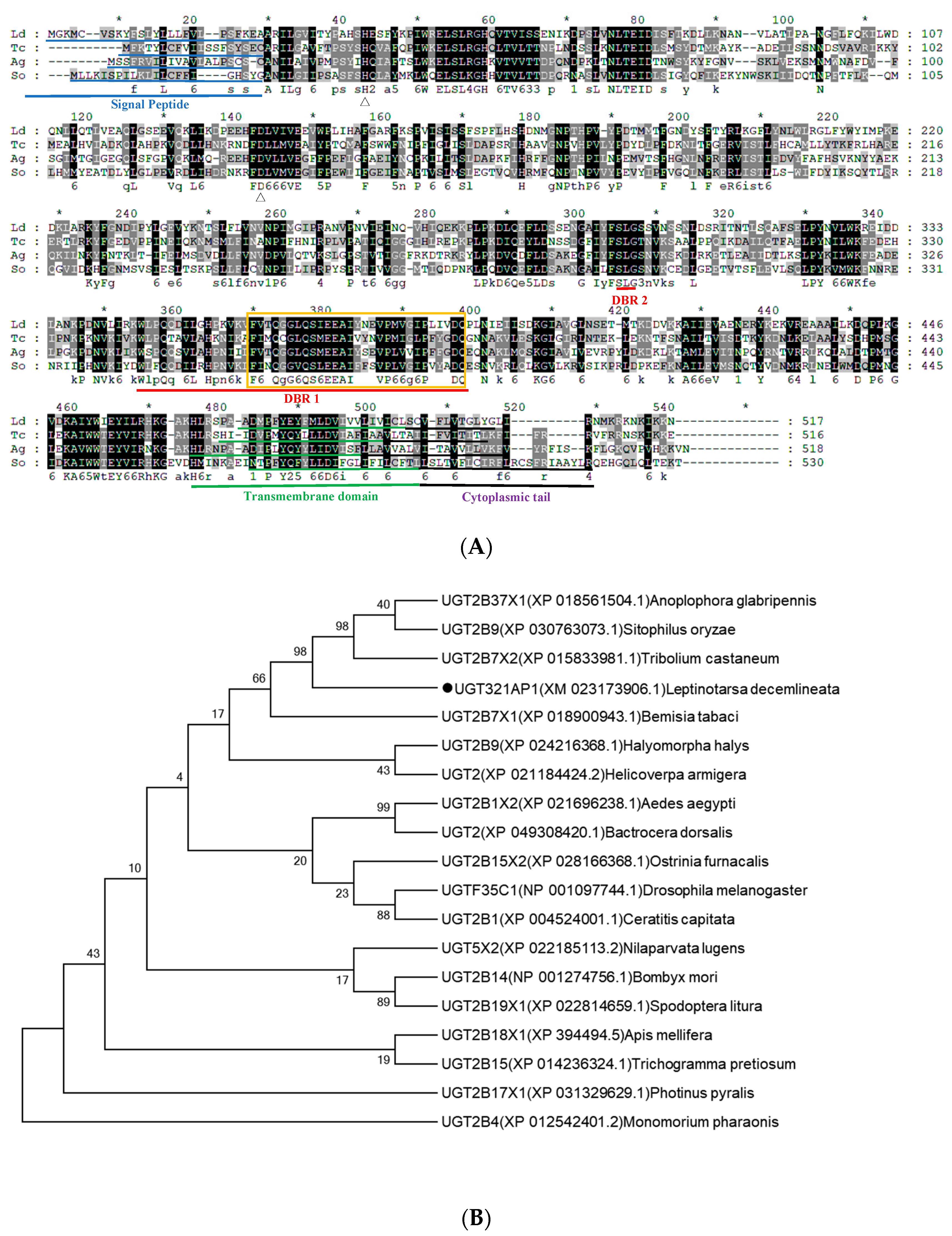 Insects 15 00559 g005