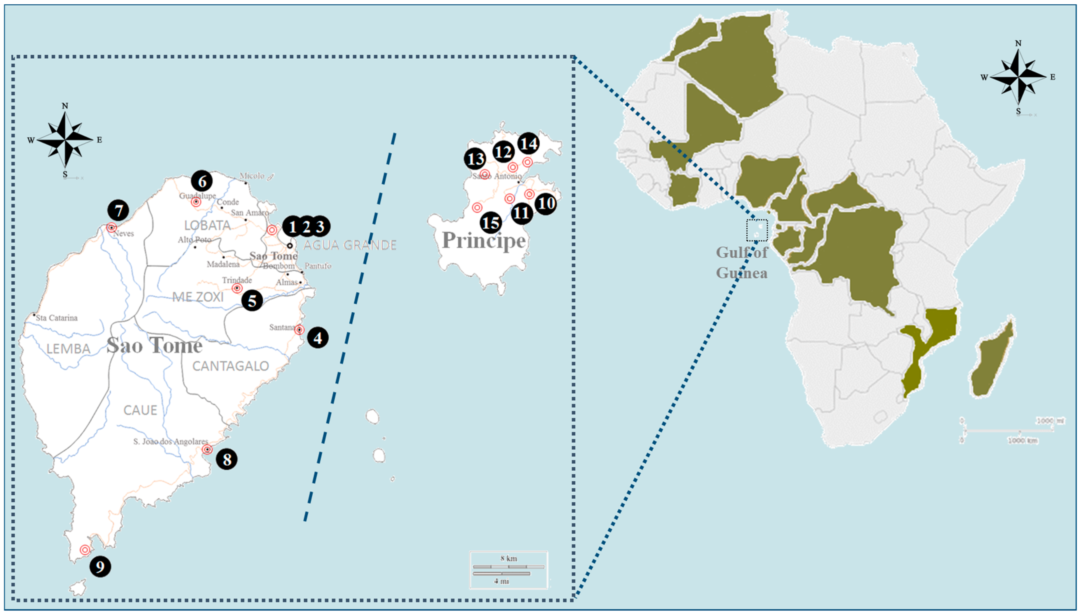 Insects 15 00560 g001
