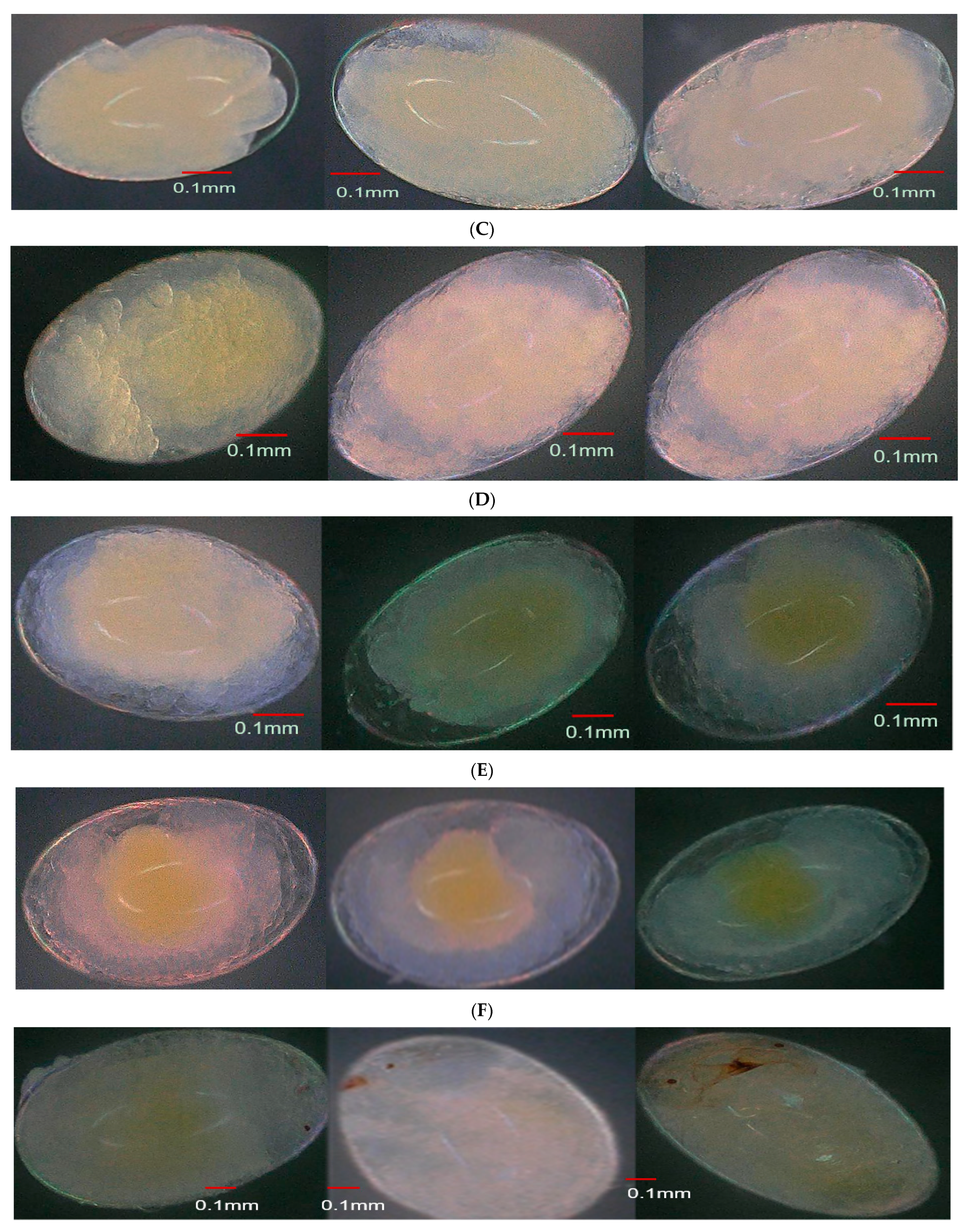 Insects 15 00562 g004b