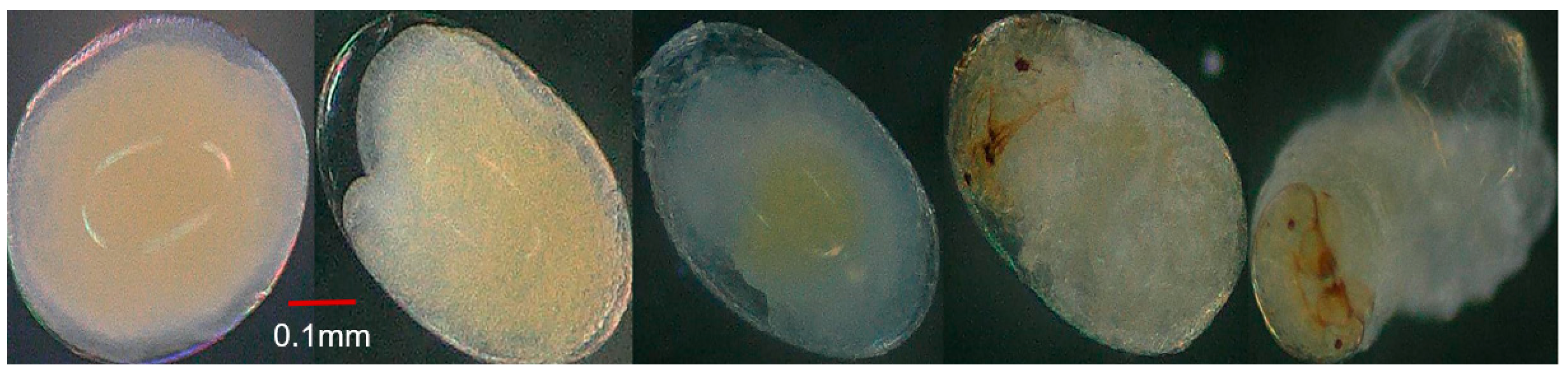 Insects 15 00562 g006