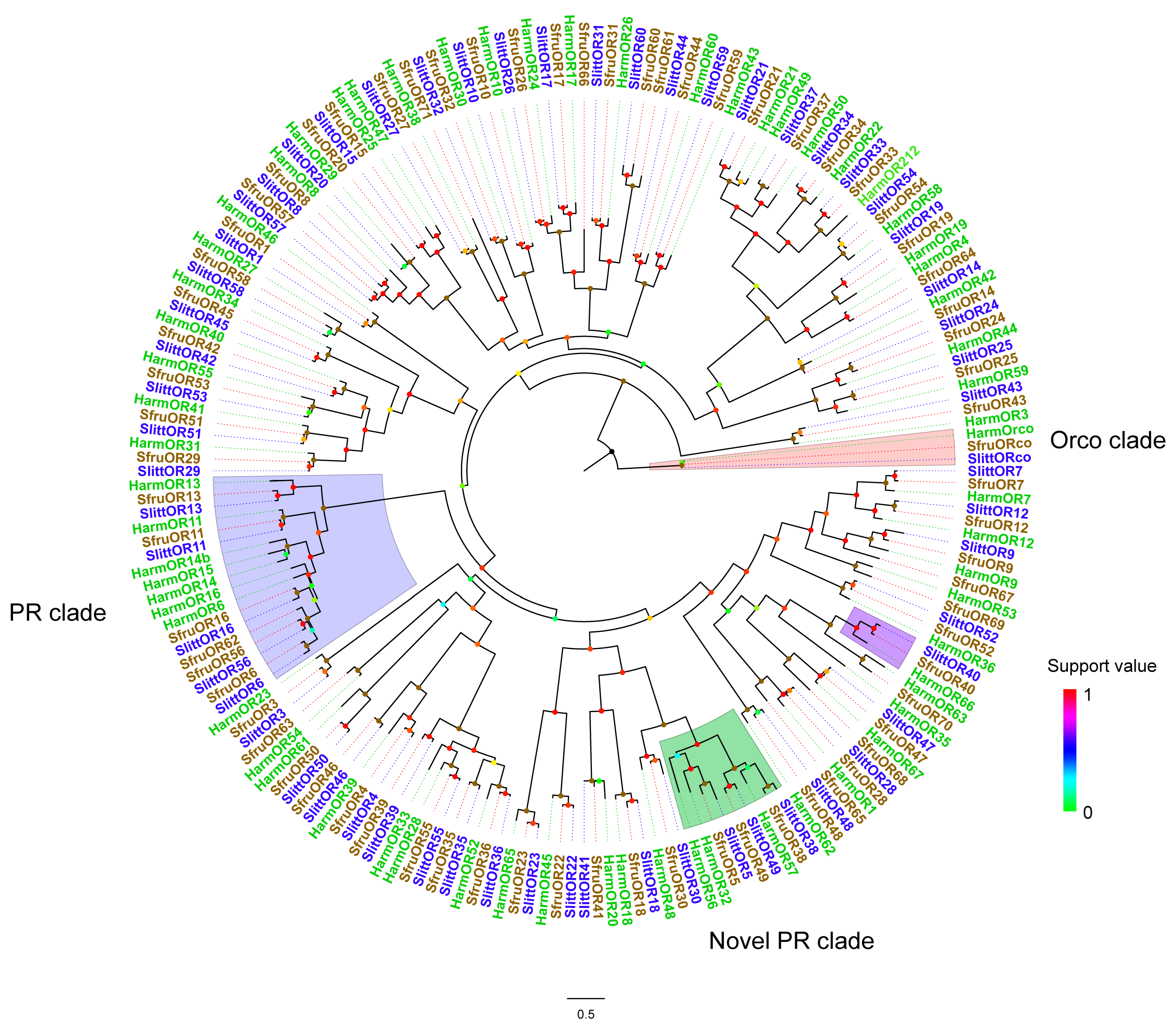 Insects 15 00564 g001