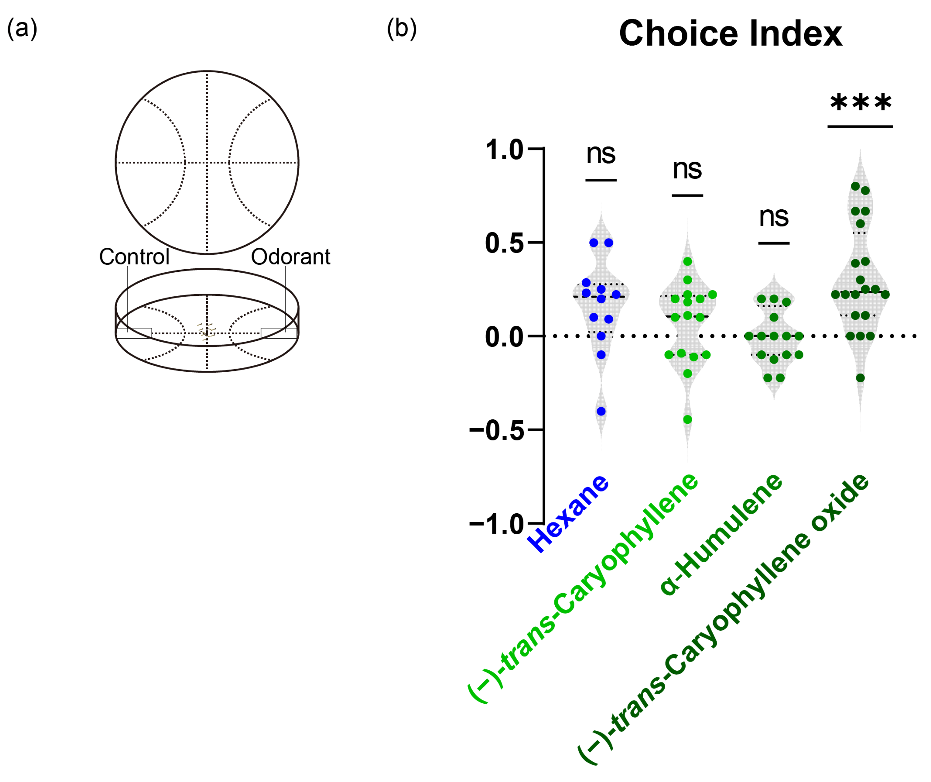 Insects 15 00564 g005