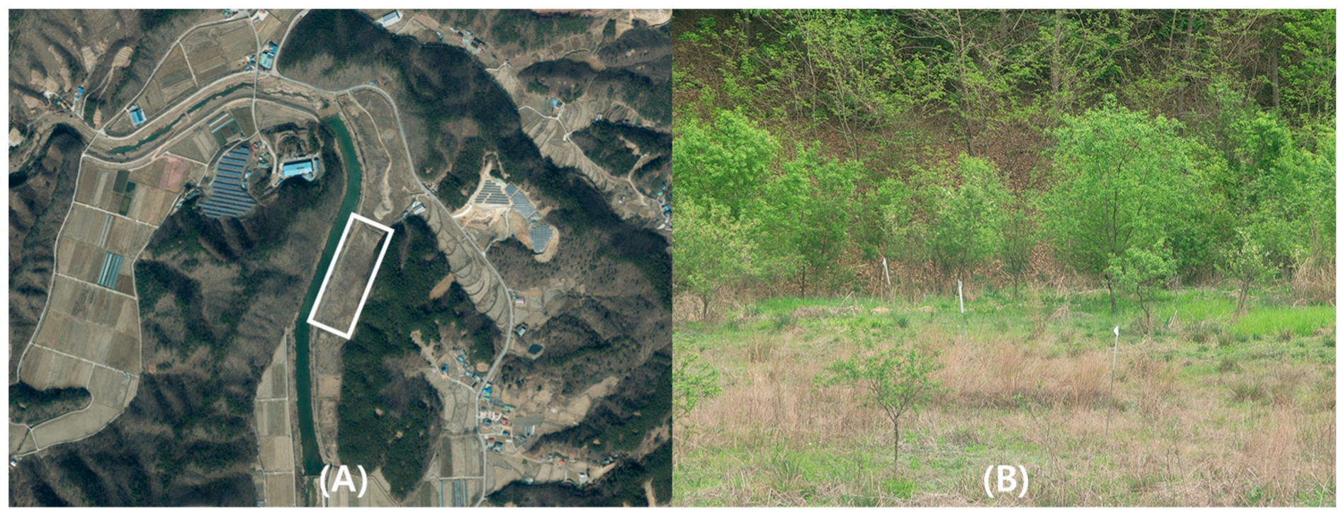 Insects 15 00568 g001