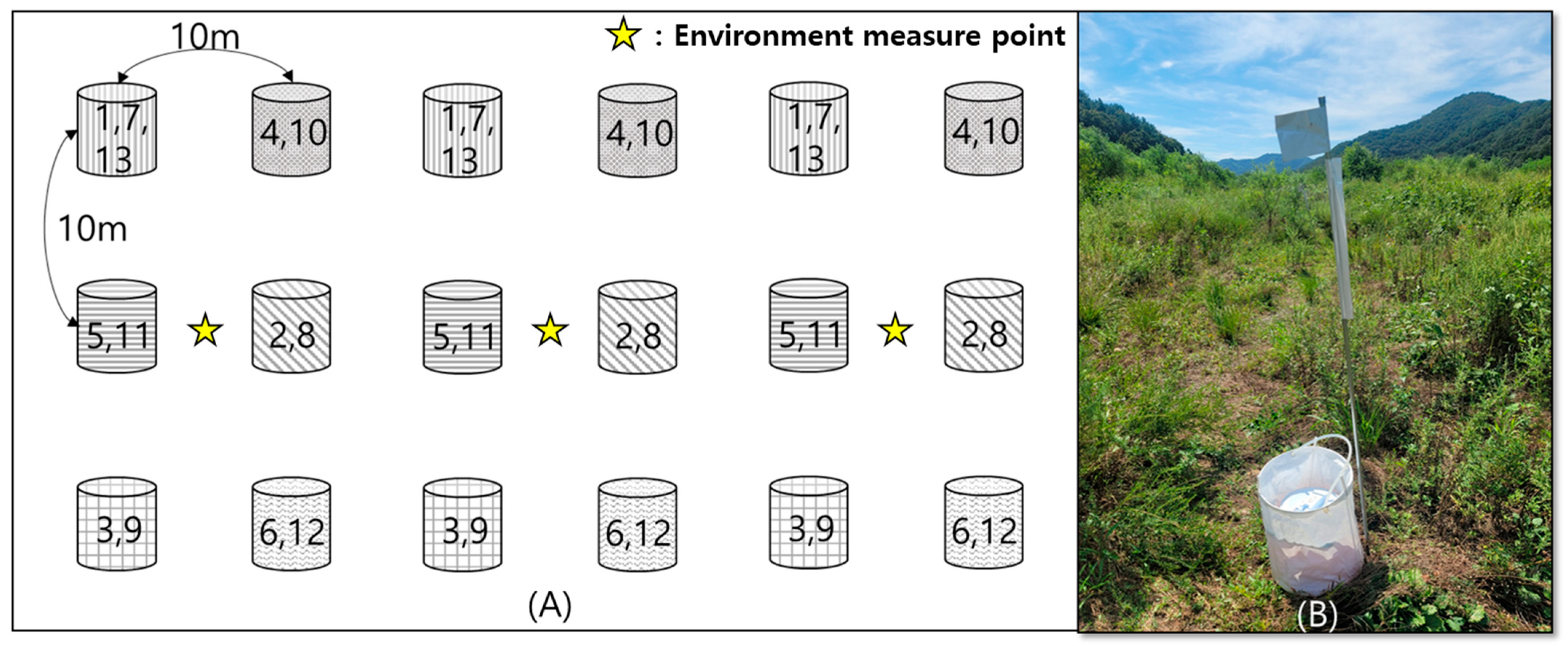 Insects 15 00568 g002