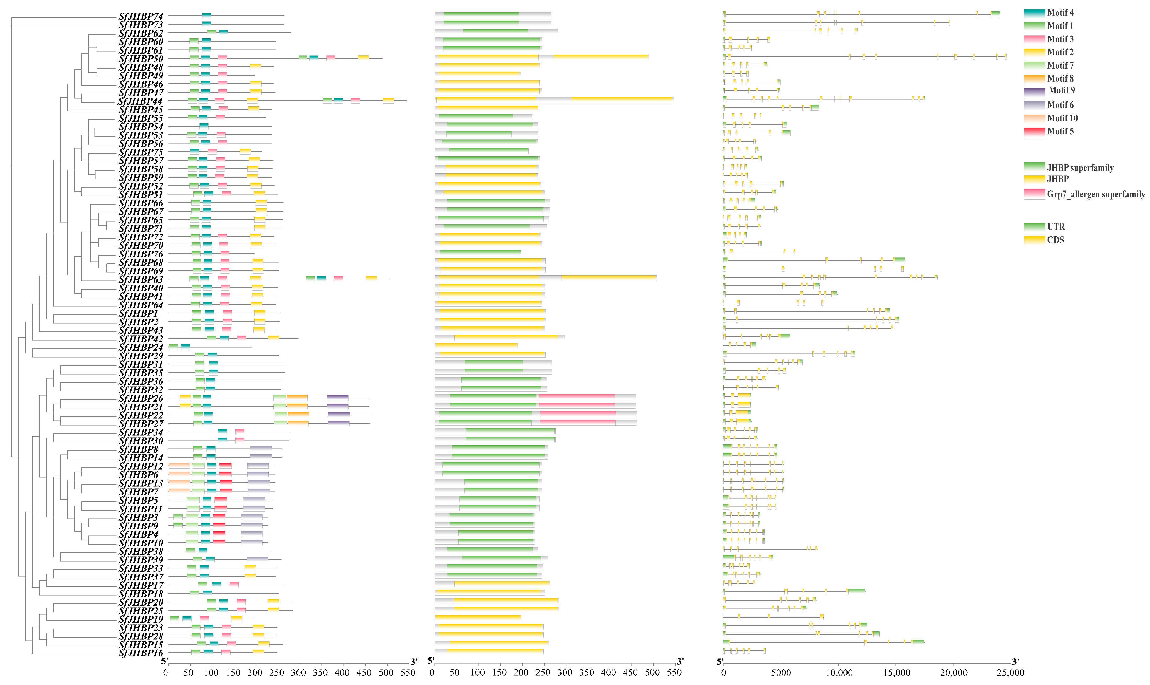 Insects 15 00573 g002