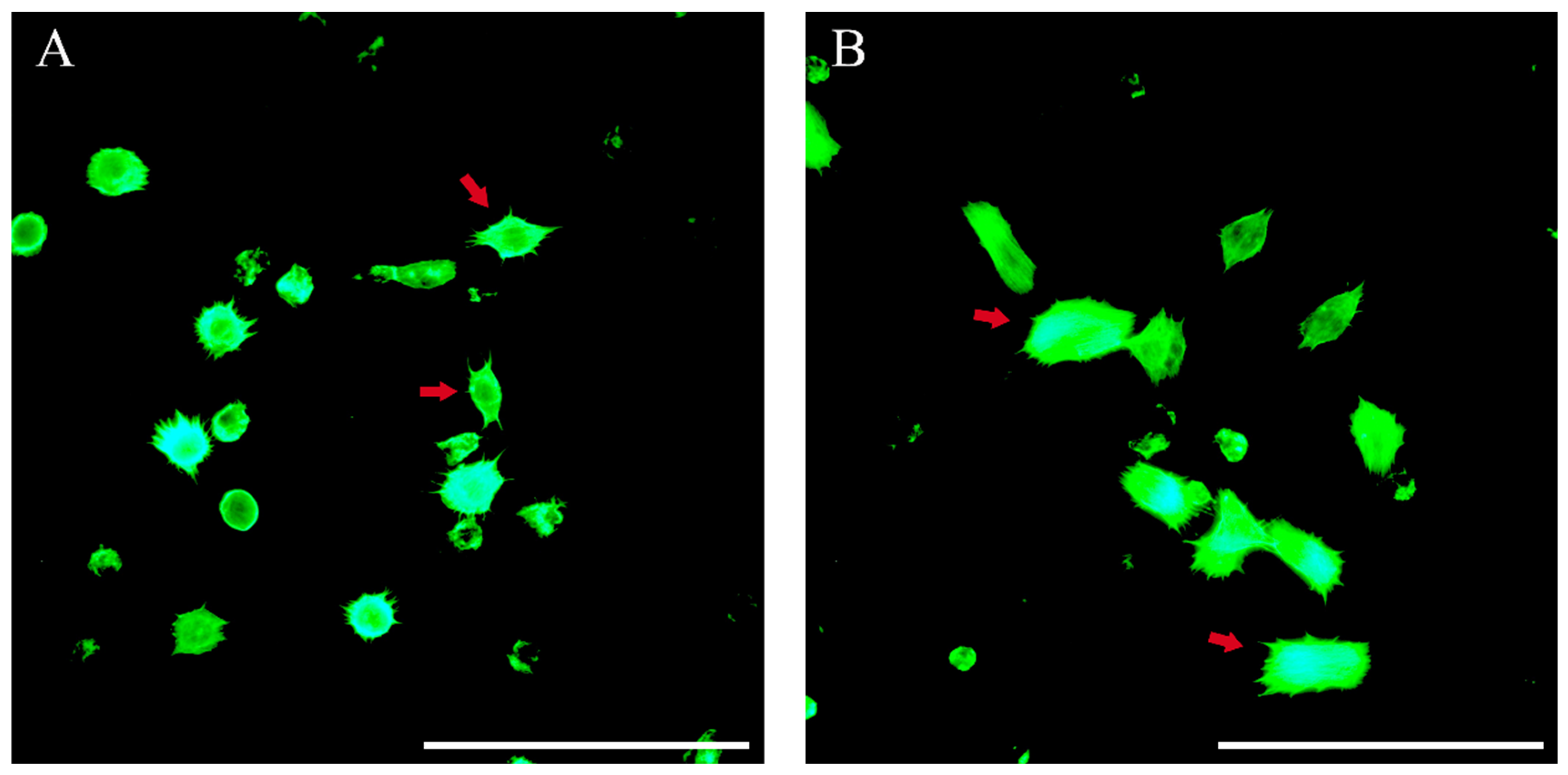 Insects 15 00586 g009