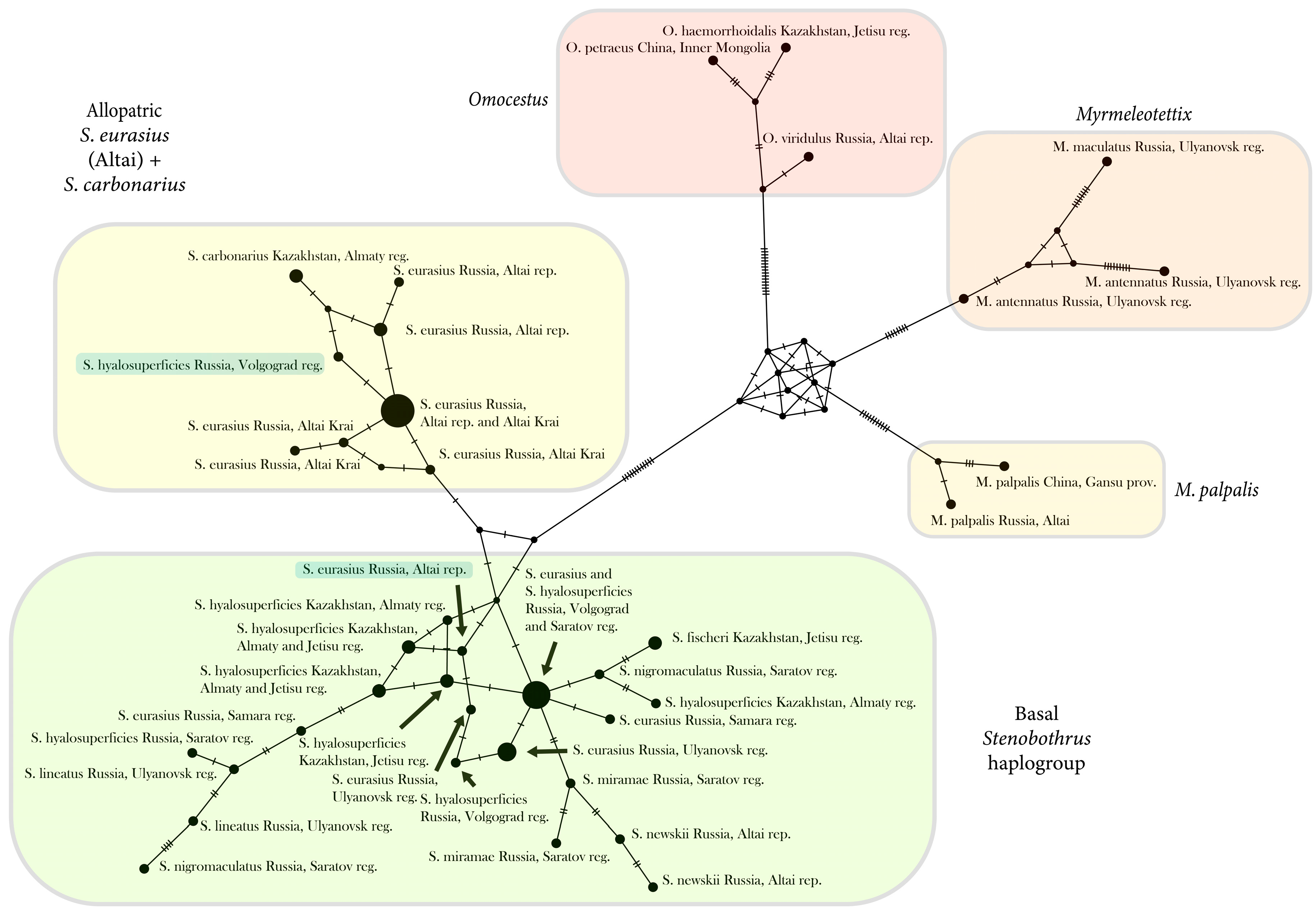 Insects 15 00592 g004