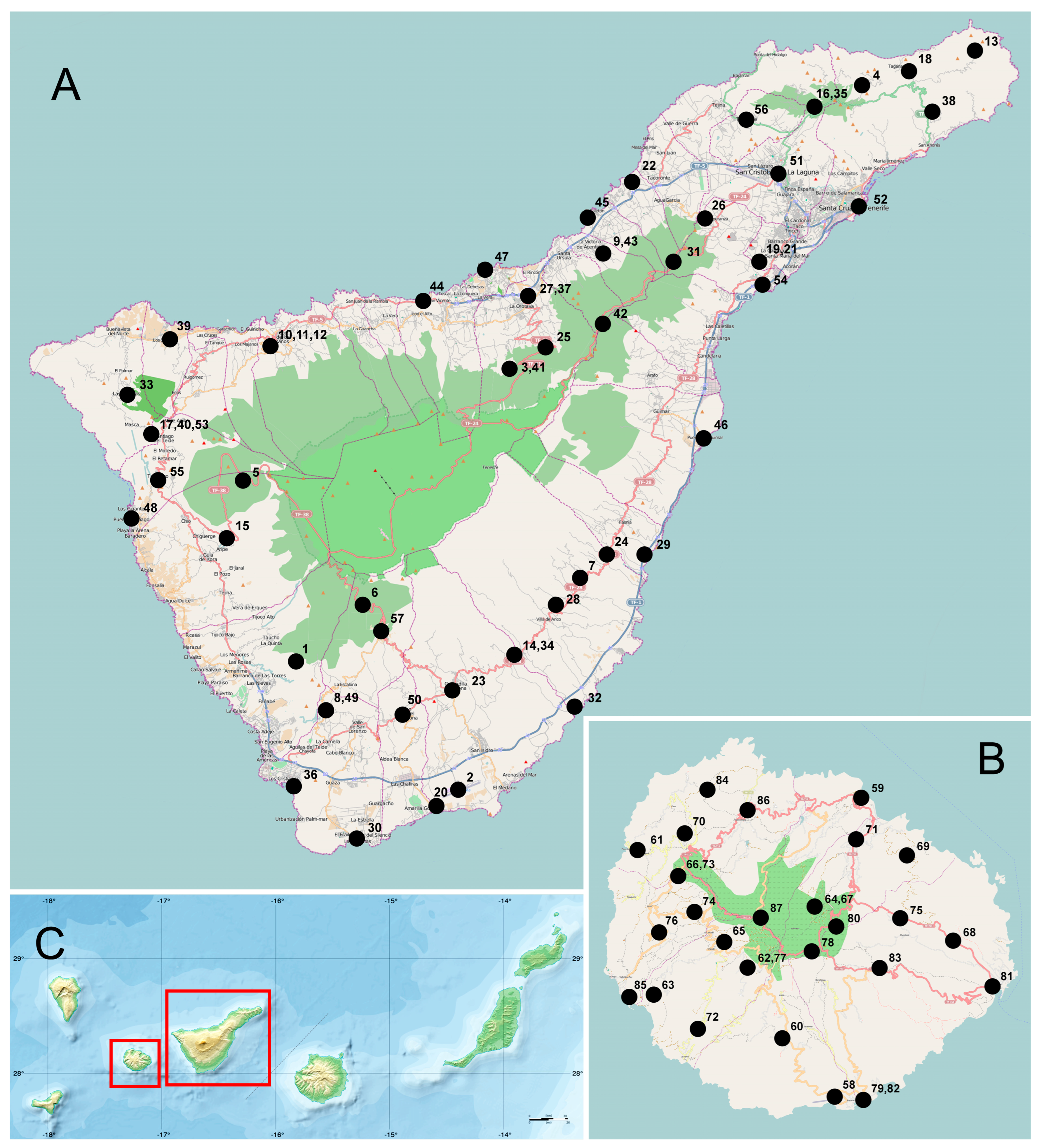 Insects 15 00596 g001