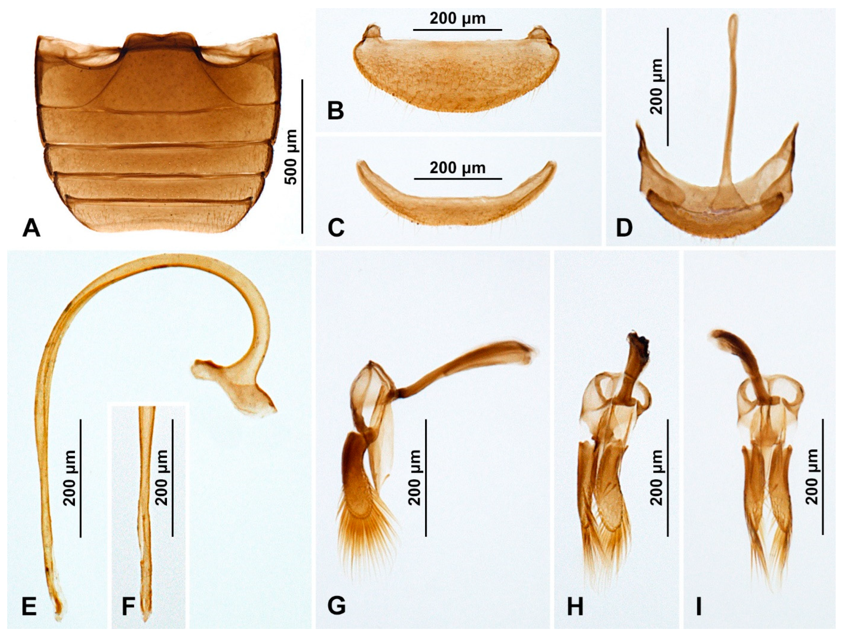 Insects 15 00596 g003